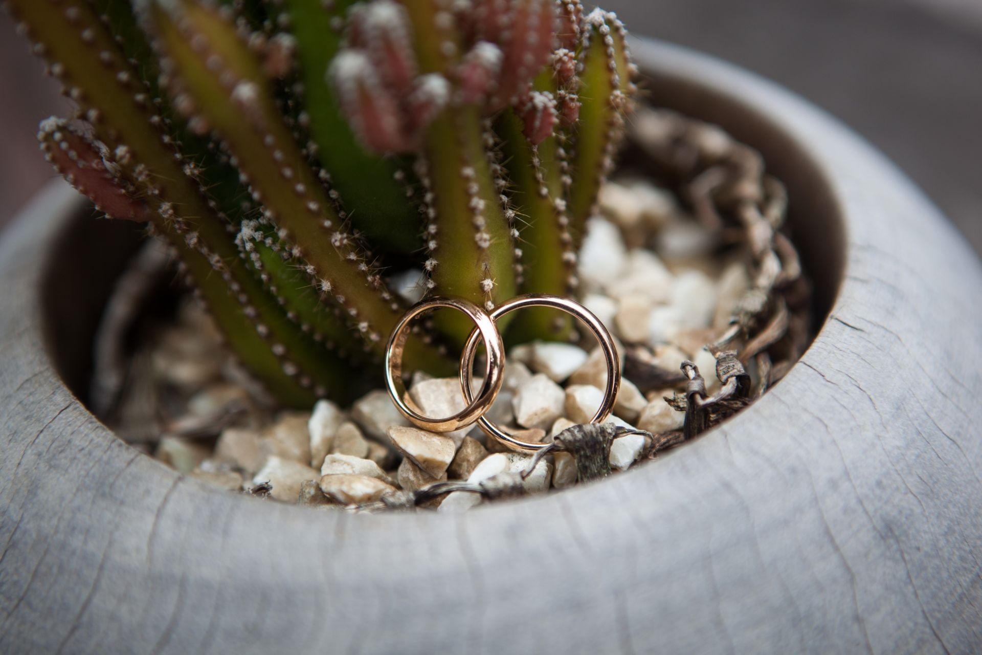 Foto Carla & Gabriel - Rio de Janeiro -RJ - Imagem 17
