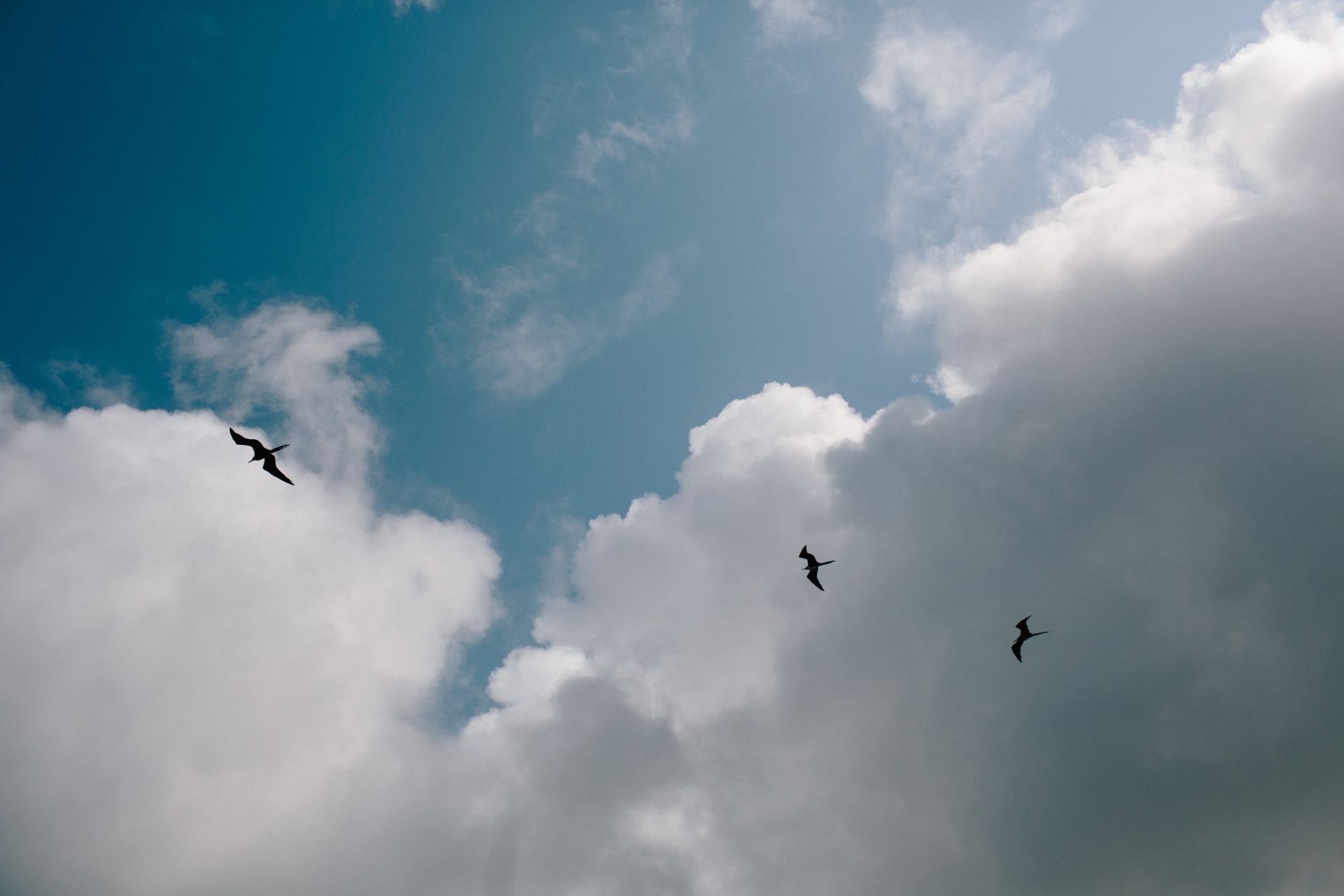 Foto Ariana & Rodrigo  - Imagem 128