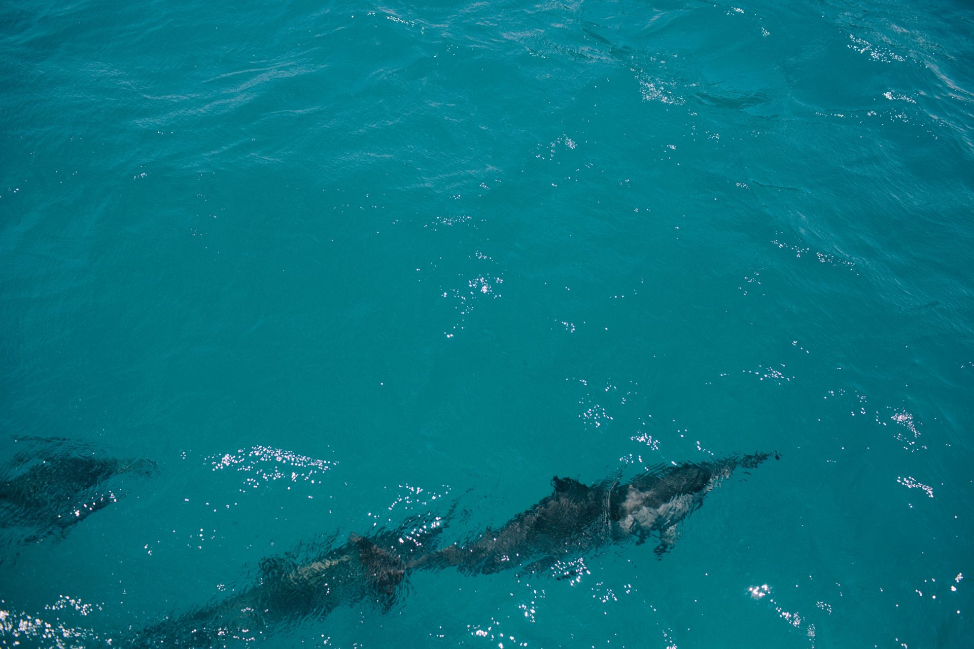 Foto Ariana & Rodrigo  - Imagem 25