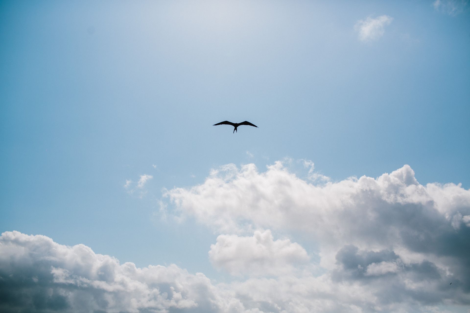 Foto Ariana & Rodrigo  - Imagem 67