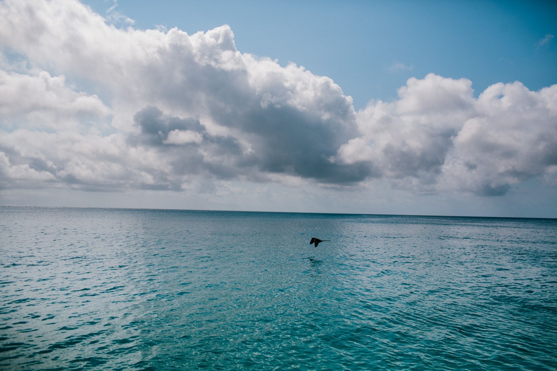 Foto Ariana & Rodrigo  - Imagem 68