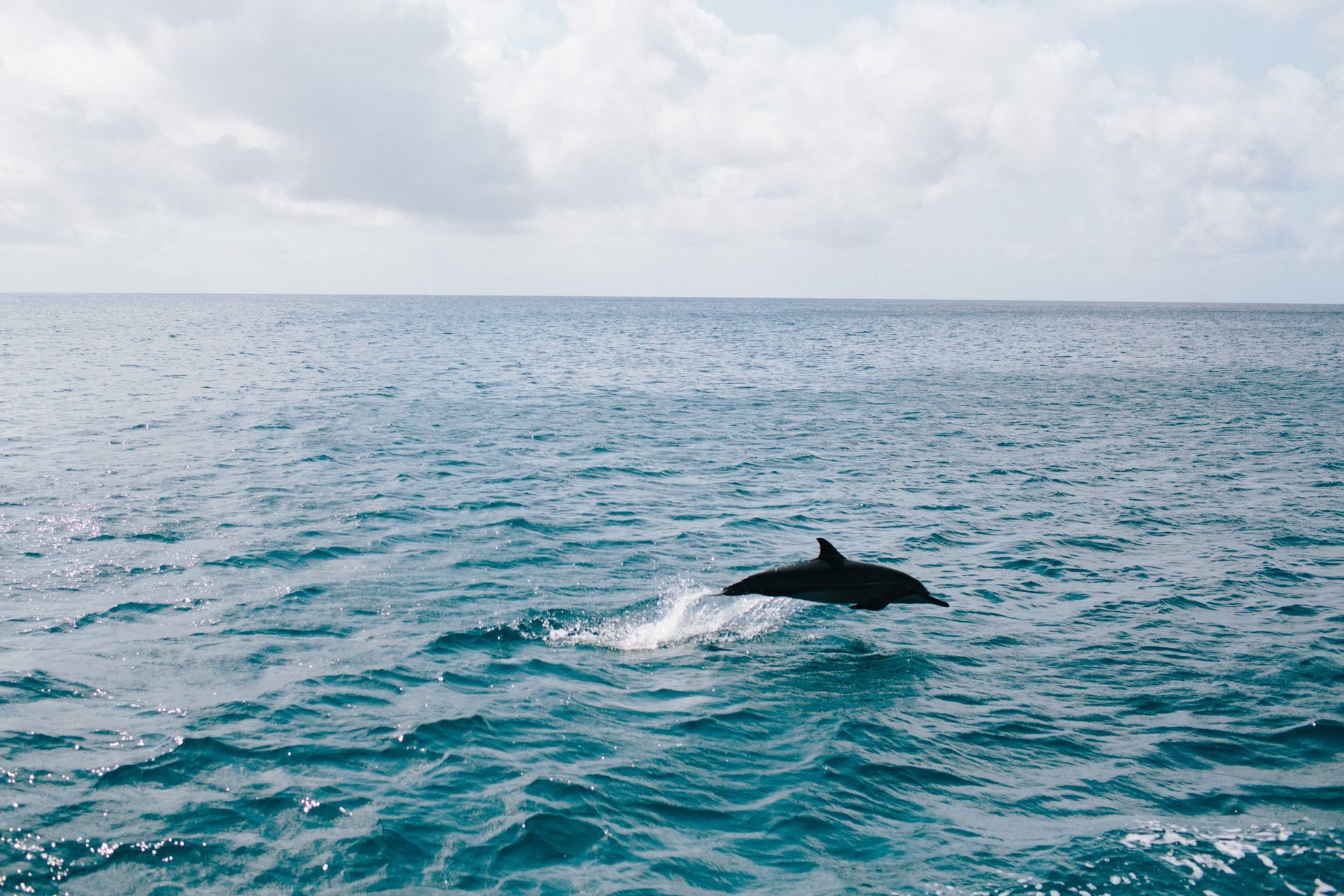 Foto Ariana & Rodrigo  - Imagem 69