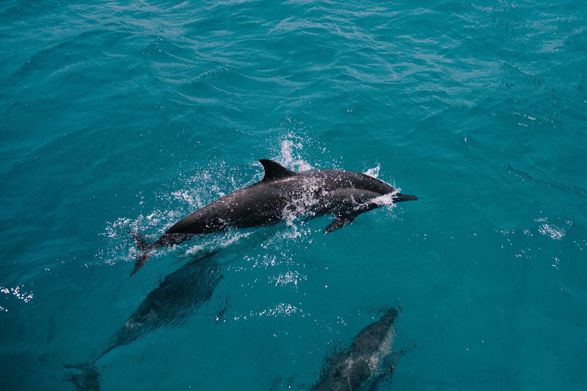 Ariana & Rodrigo -pre casorio e welcome