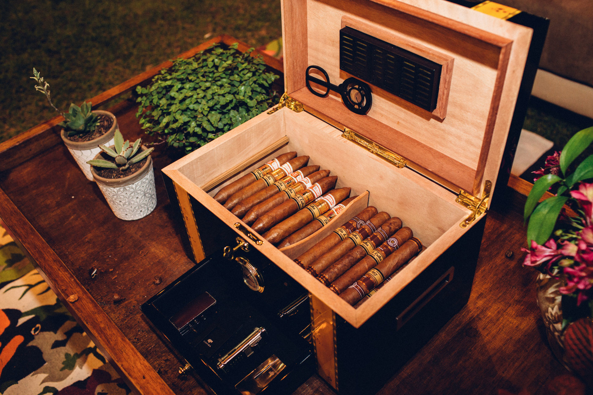 Foto Erika e Leonardo  - Imagem 164