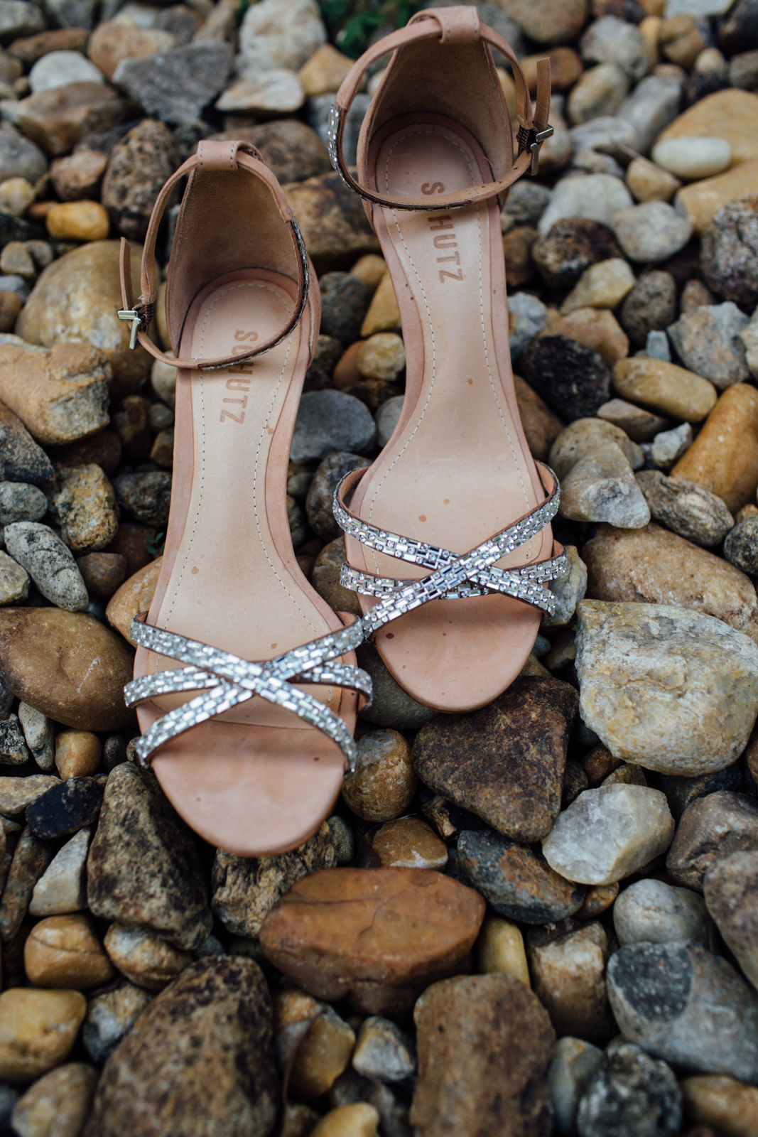 Foto Thais e Thiago - Imagem 4