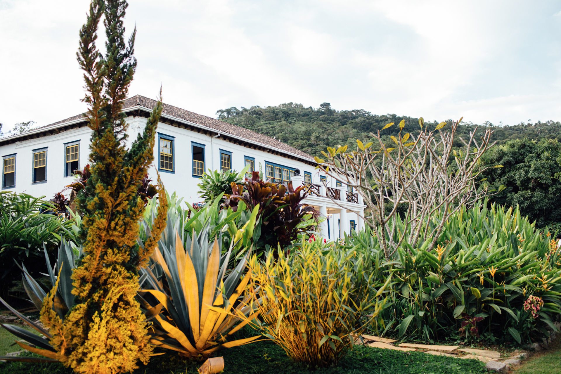 Foto Thais e Thiago - Imagem 50