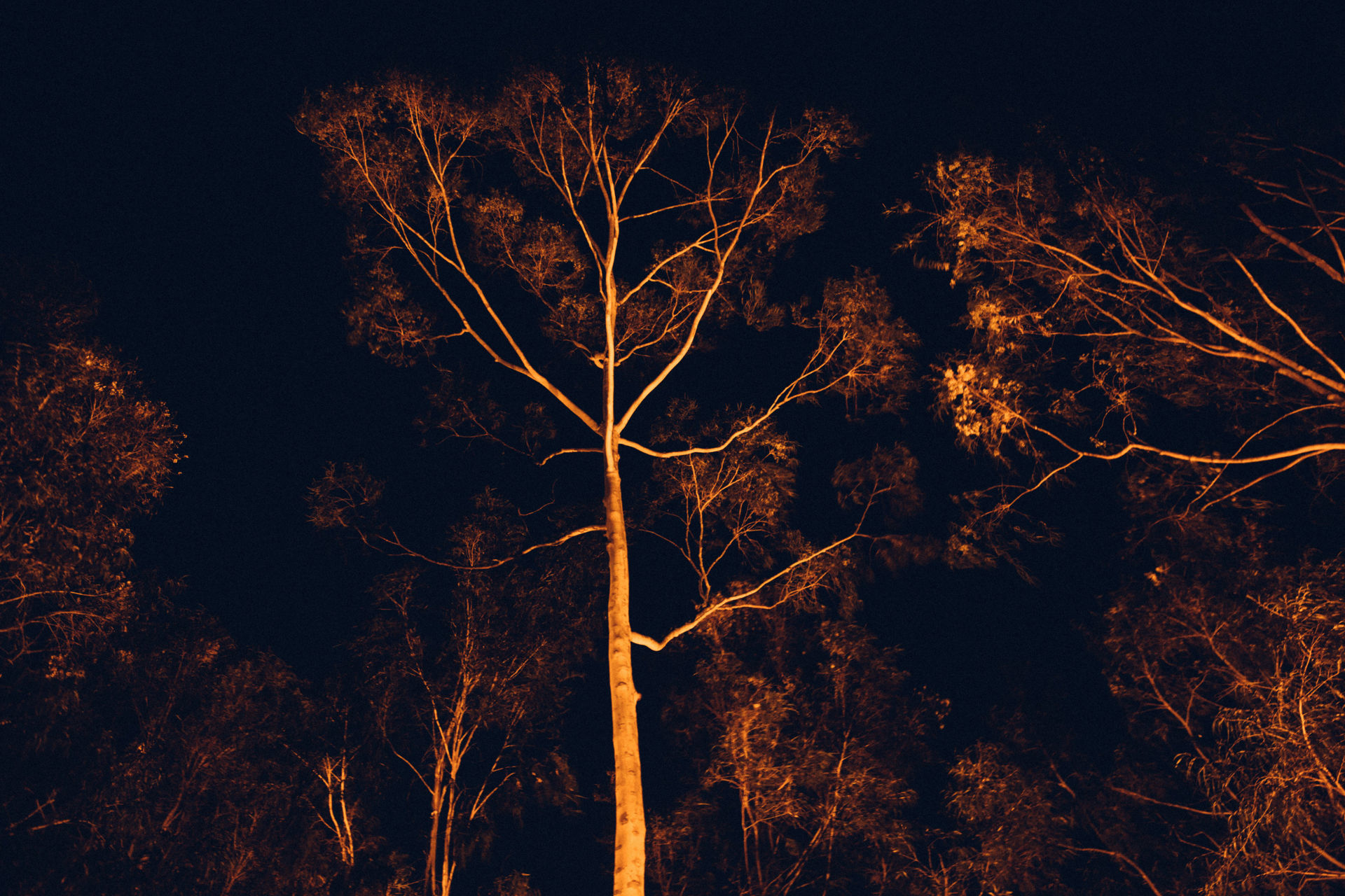 Foto Camila & Beto - Imagem 141