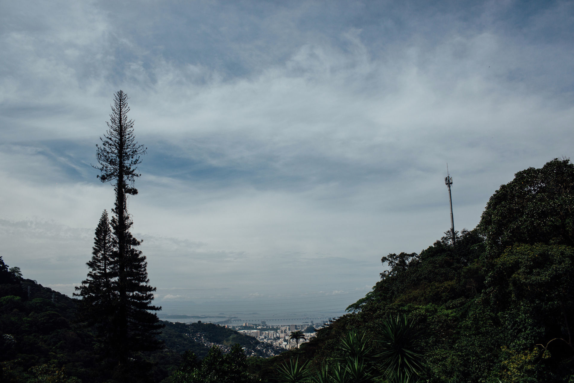 Foto Mariana & Matheus - Casa do Alto - Alto boa vista - RJ - Imagem 0