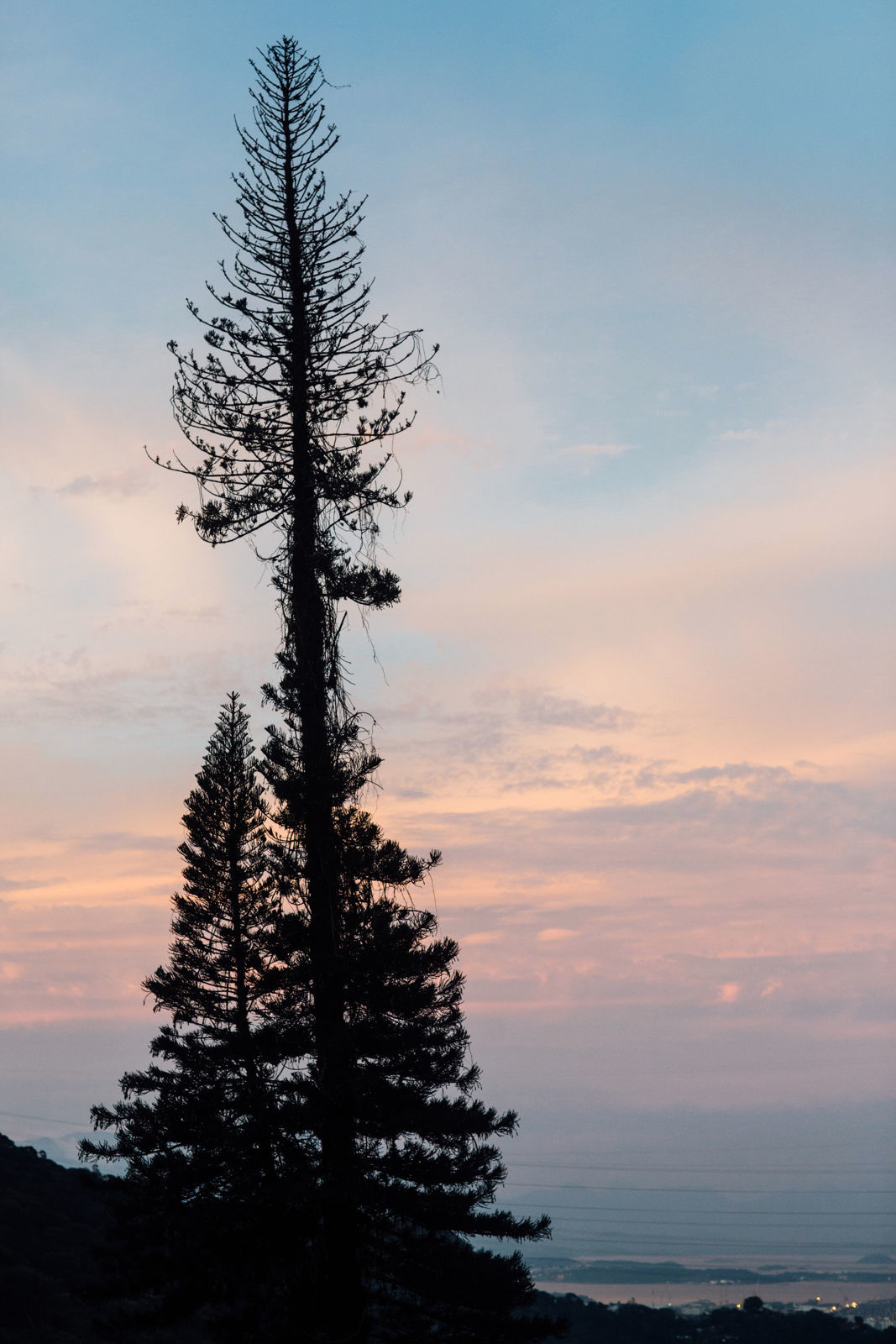 Foto Mariana & Matheus - Casa do Alto - Alto boa vista - RJ - Imagem 12
