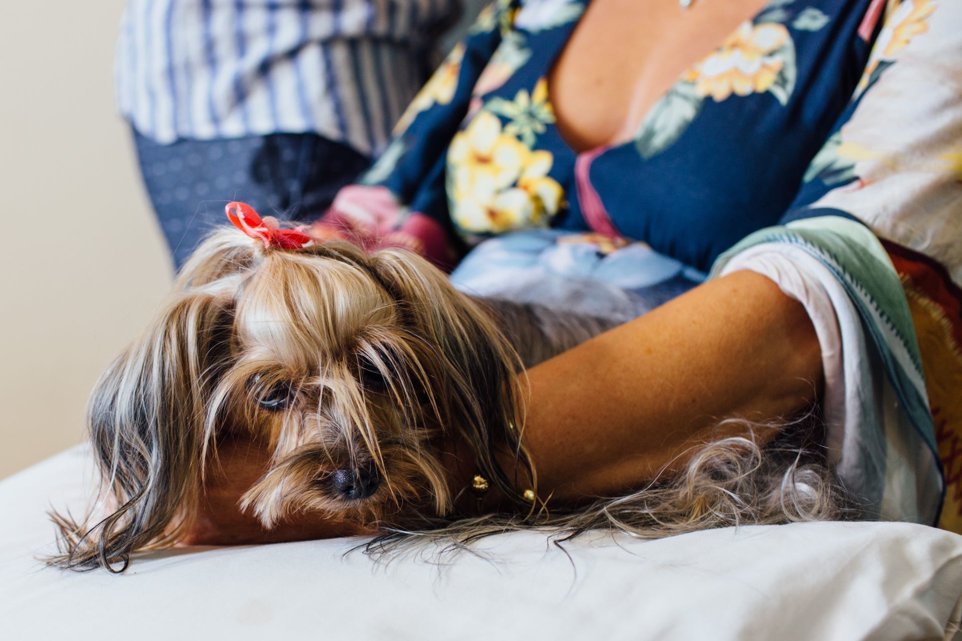 Foto Fernanda & Pedro - Galpon - VR - Imagem 31