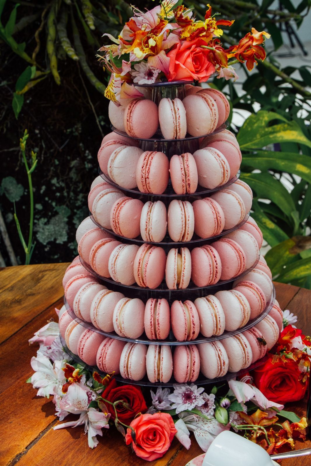 Foto REBECCA E JOSE - CASARAO PENEDO - Imagem 4