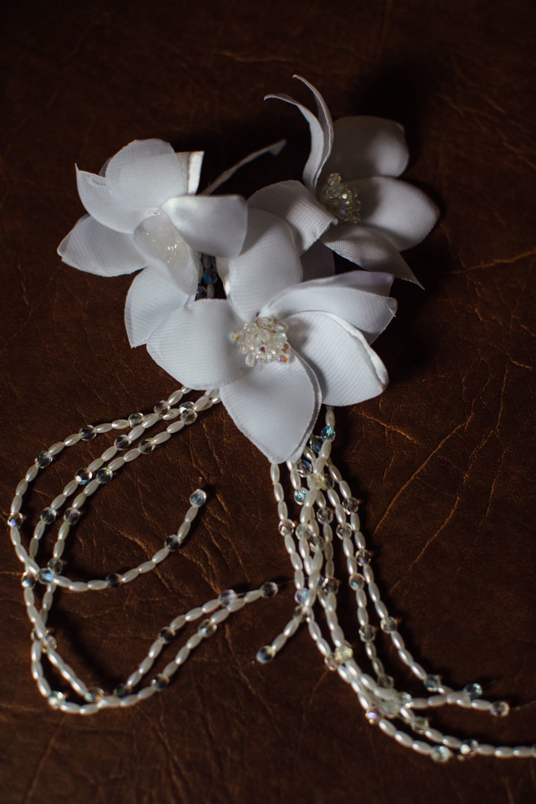 Foto REBECCA E JOSE - CASARAO PENEDO - Imagem 8