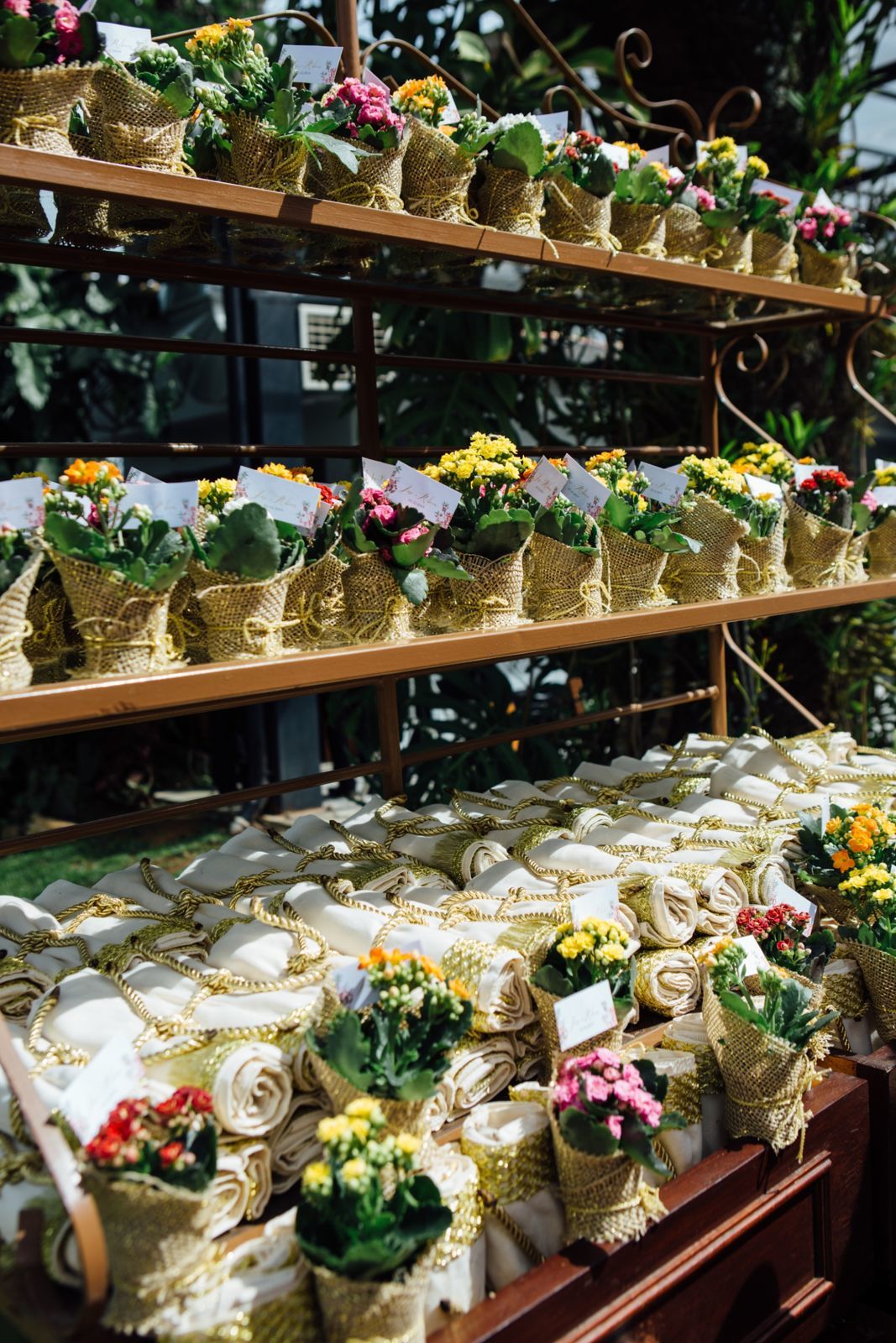 Foto REBECCA E JOSE - CASARAO PENEDO - Imagem 211