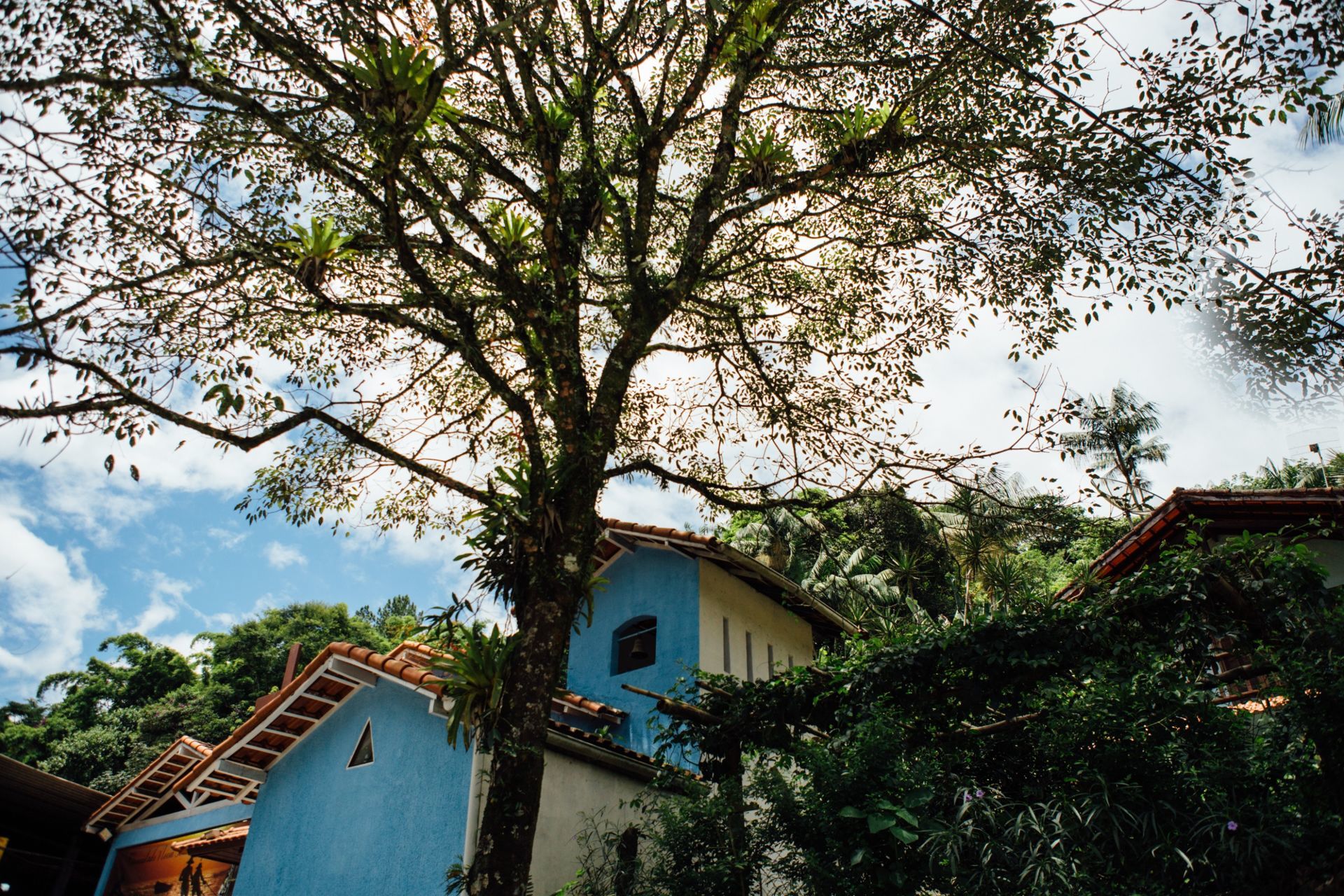 Foto Luciana & Daniel - Jardim Secreto - Penedo RJ - Imagem 63