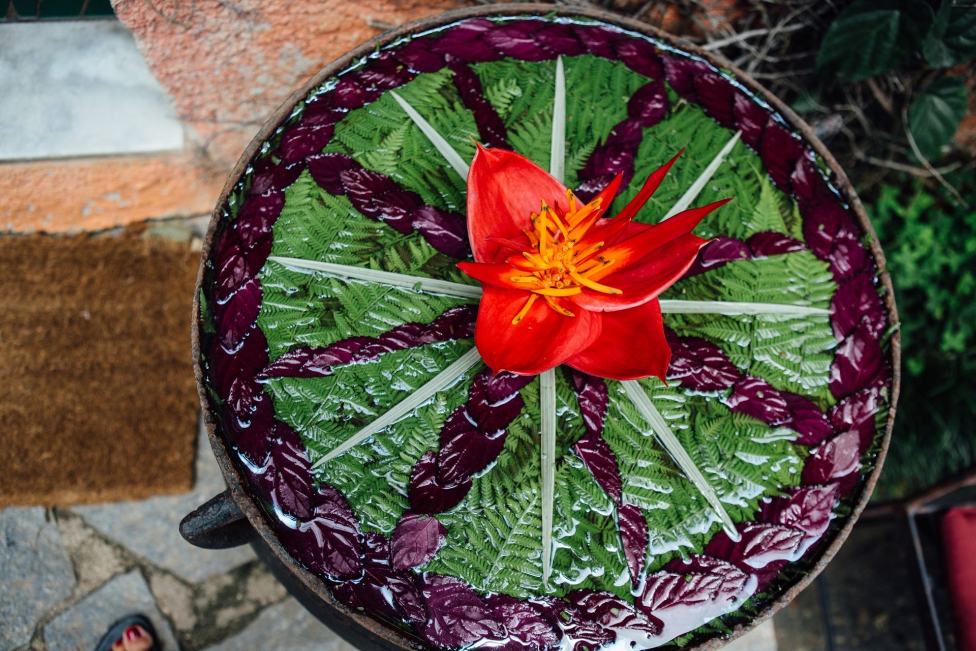 Foto Luciana & Daniel - Jardim Secreto - Penedo RJ - Imagem 136