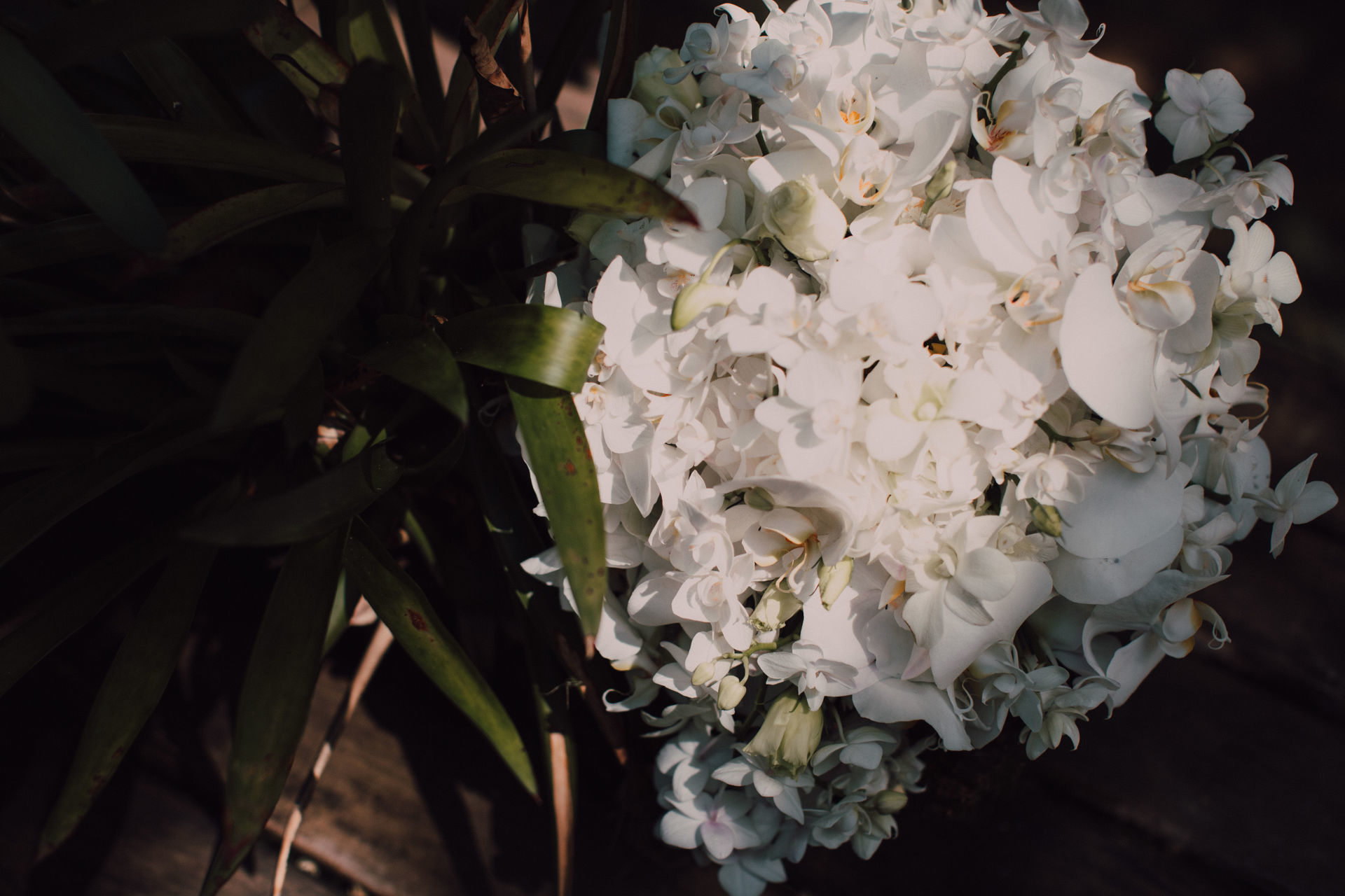 Foto Eduarda & Fernando - Penedo -RJ - Imagem 24