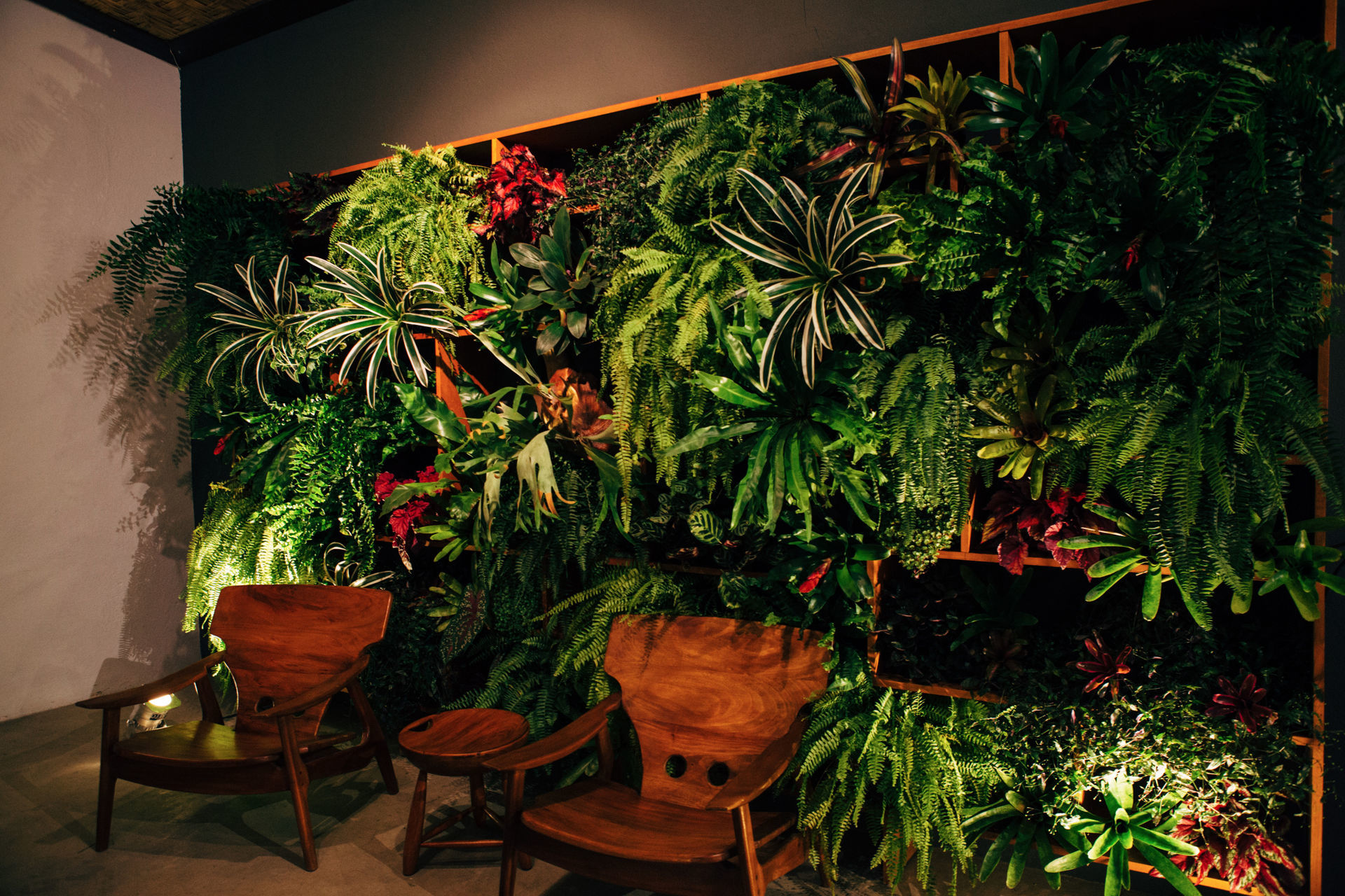 Foto Eduarda & Fernando - Penedo -RJ - Imagem 206