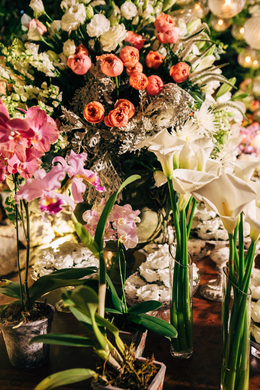 Foto Eduarda & Fernando - Penedo -RJ - Imagem 208