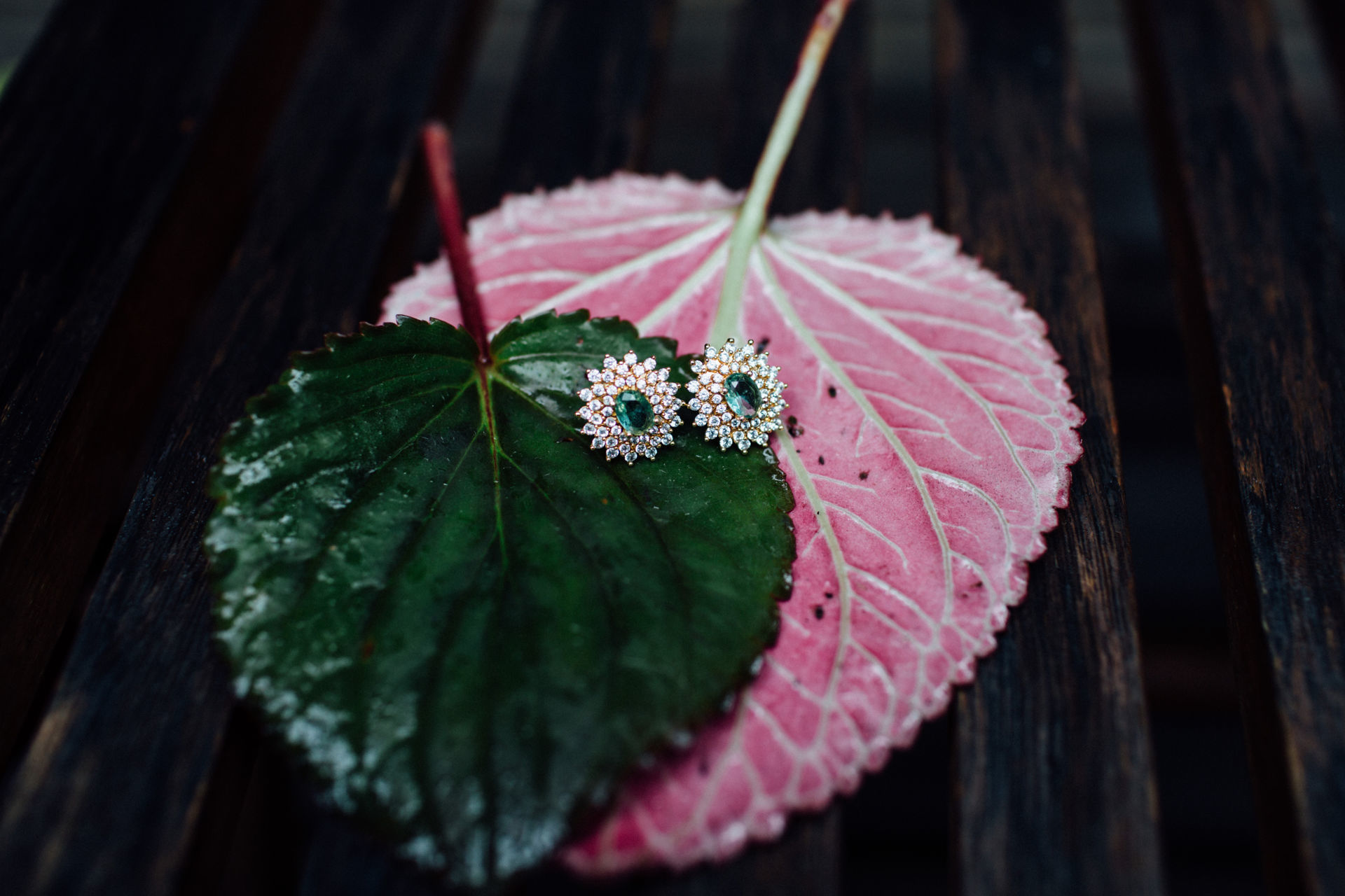 Foto LIANA & DEMETRIUS - JARDIM SECRETO -PENEDO RJ - Imagem 3