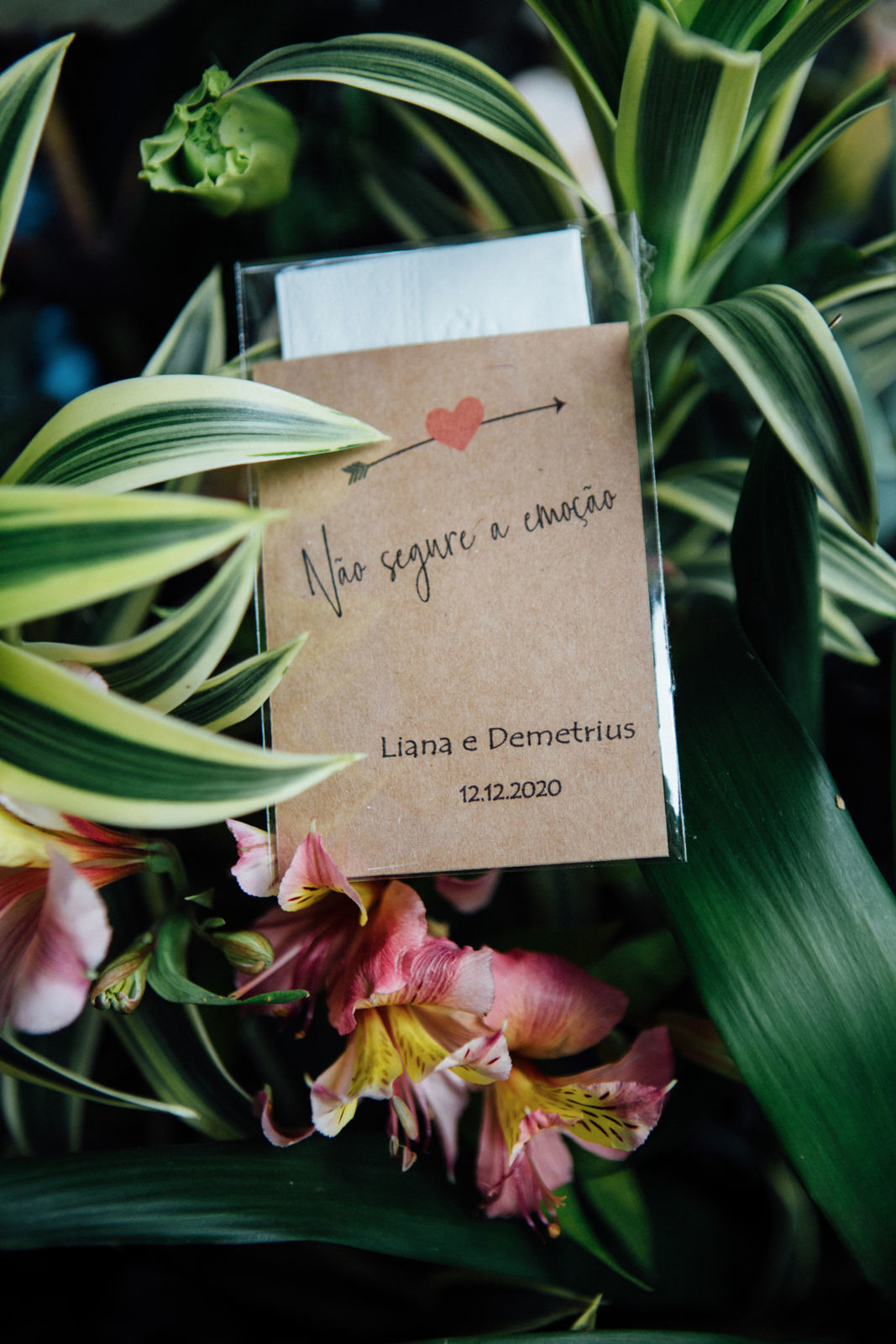 Foto LIANA & DEMETRIUS - JARDIM SECRETO -PENEDO RJ - Imagem 47