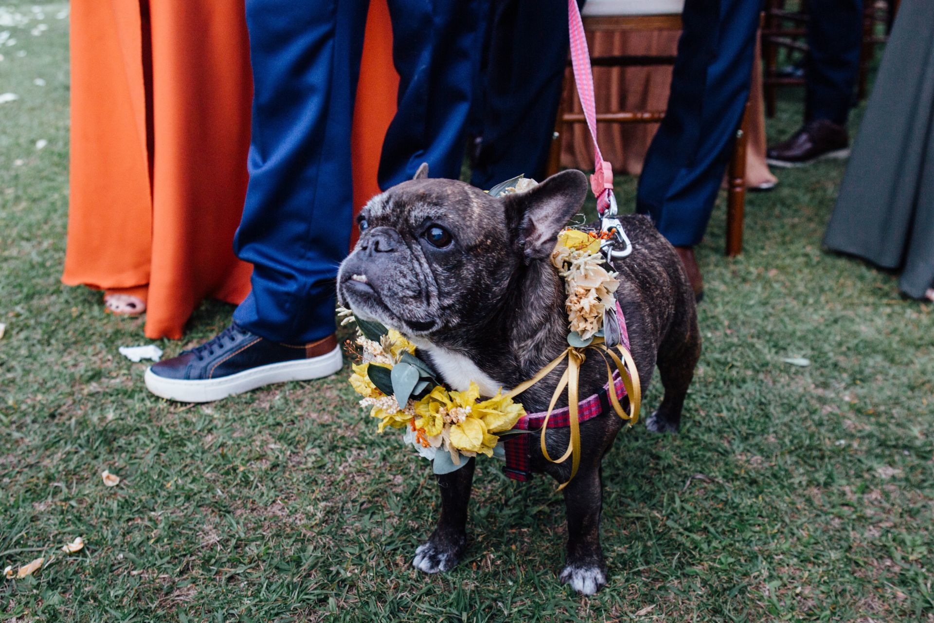 Foto Casamento Cynthia & Tcheli  - Pousada Rio das Pedras- Visconde de Mauá -RJ - Imagem 209