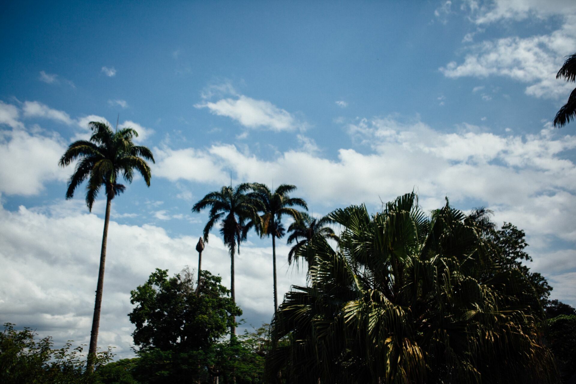 Foto Casamento Nathalia e Thiago - Casarão Penedo - Penedo - RJ - Imagem 10
