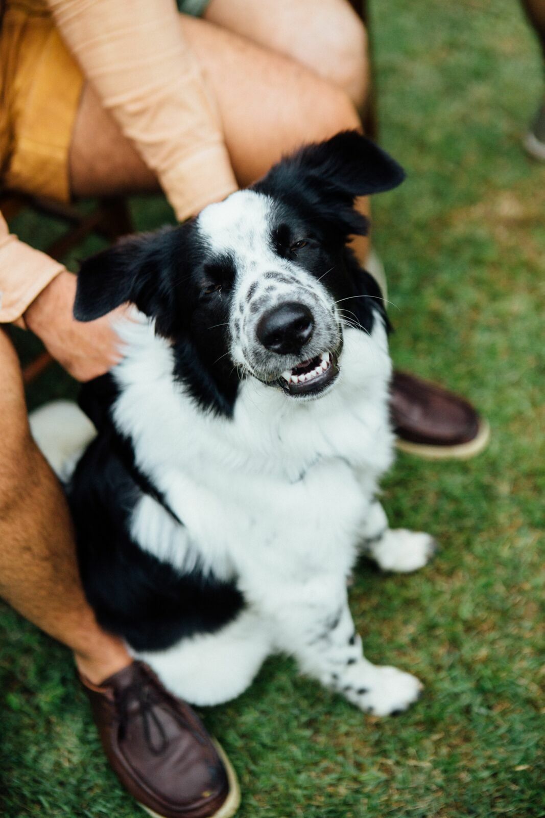 Foto Casamento Camila e will - Casa na floresta _ Penedo RJ - Imagem 100