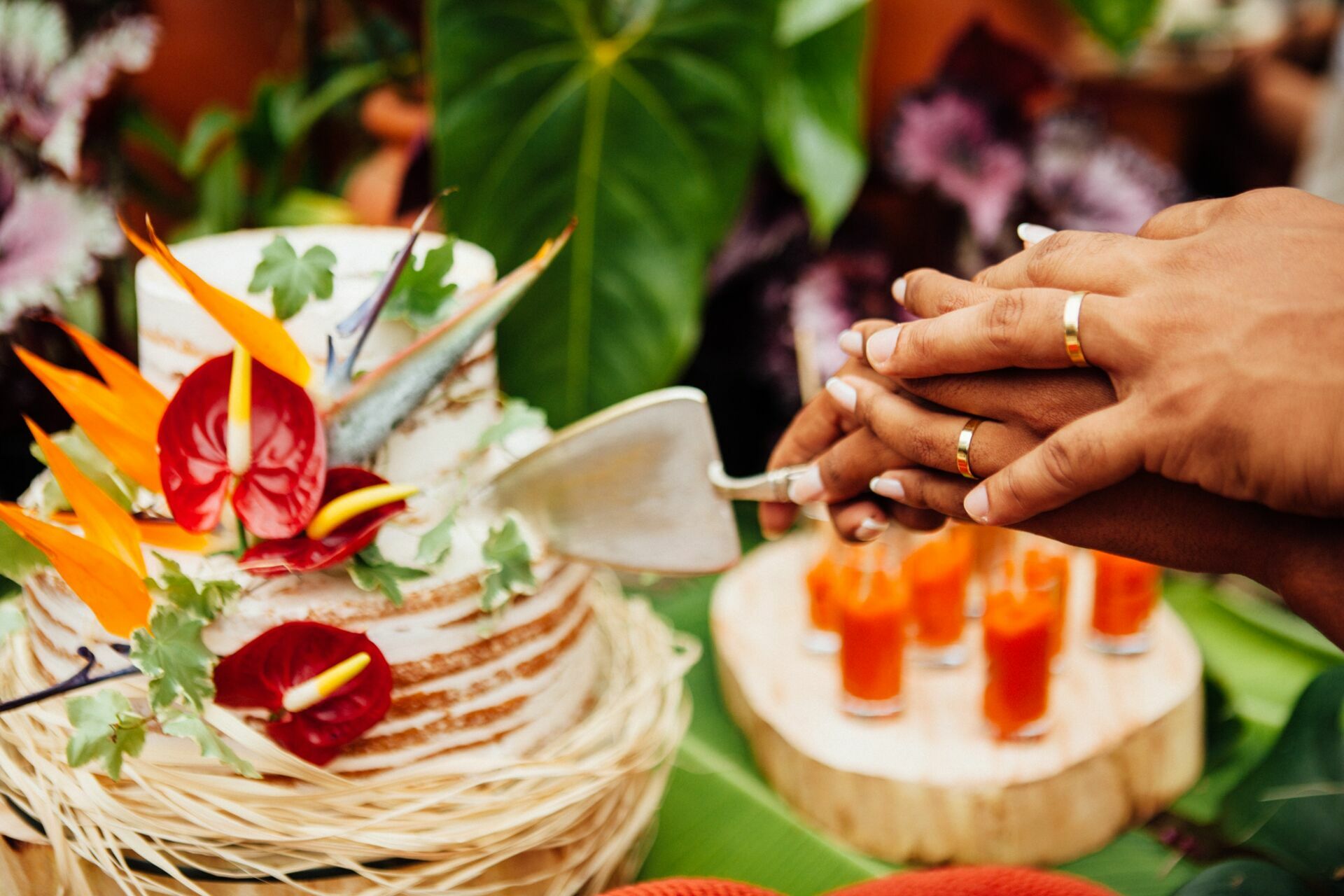 Foto Casamento Camila e will - Casa na floresta _ Penedo RJ - Imagem 160