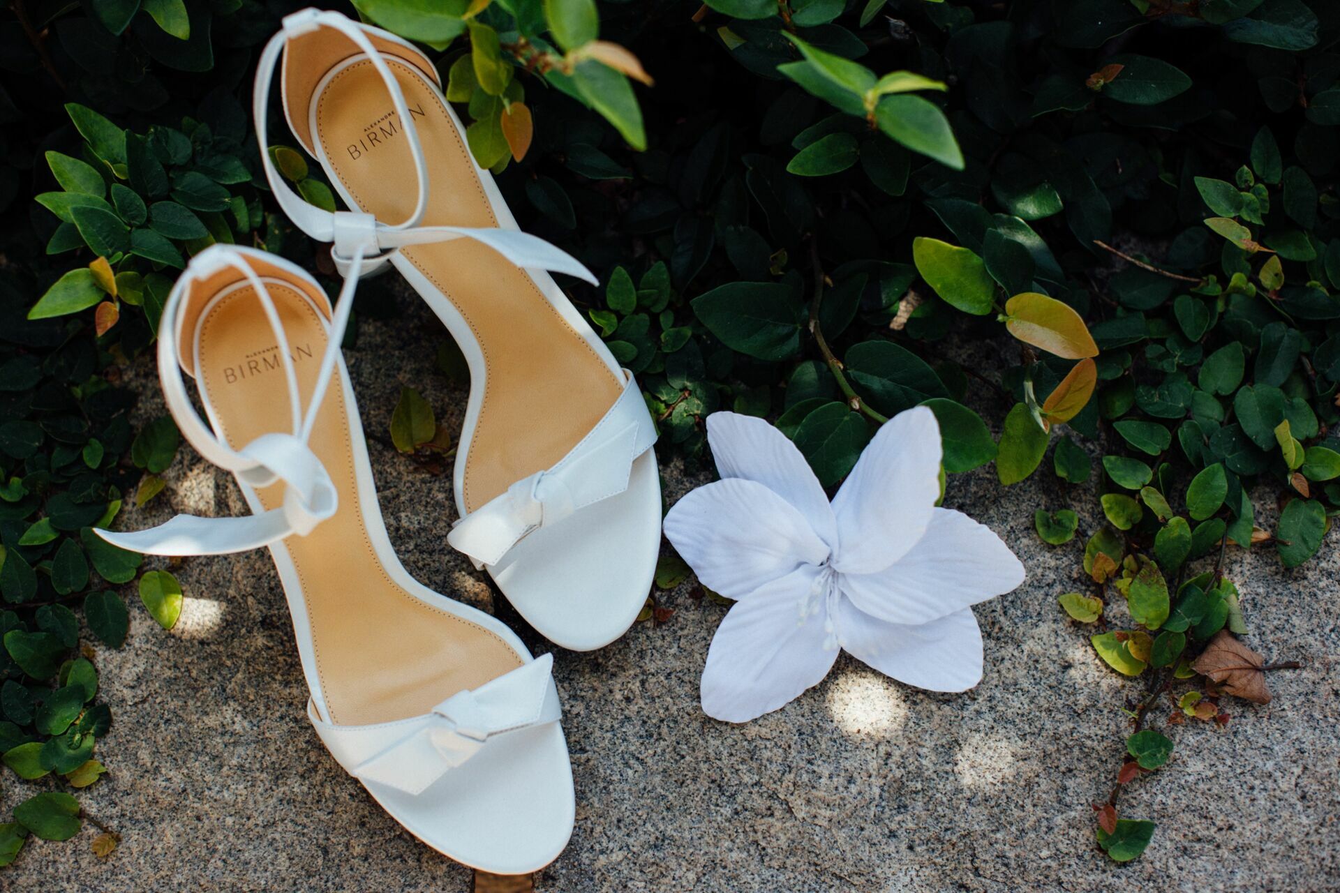 Foto Casamento Isadora e Adam - Igreja de Sant' Ana -Iate Clube  Búzios - RJ - Imagem 0