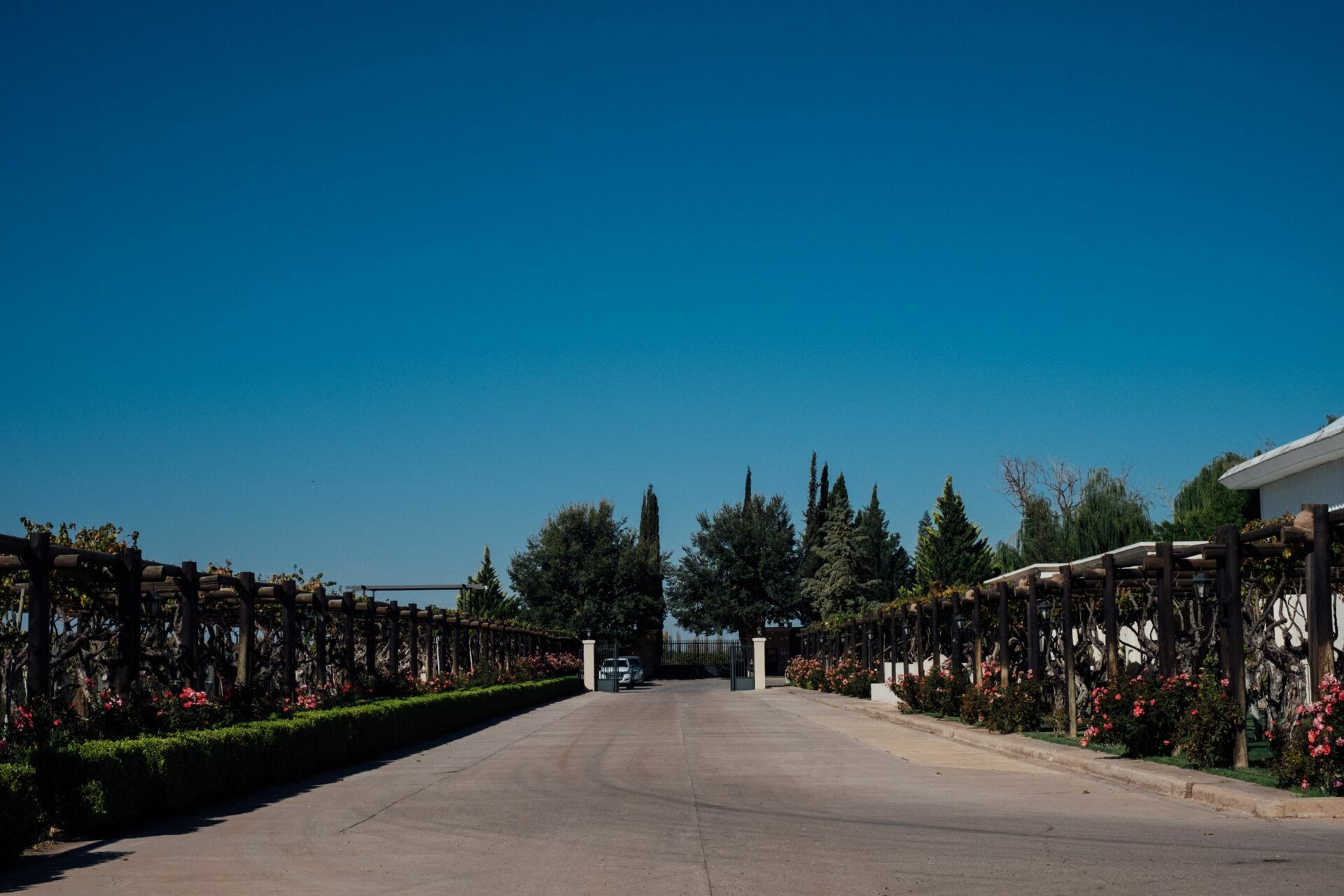 Foto Casamento Mariana e Rafael - Mendoza Argentina - Chegada e Visita técnica - Imagem 9