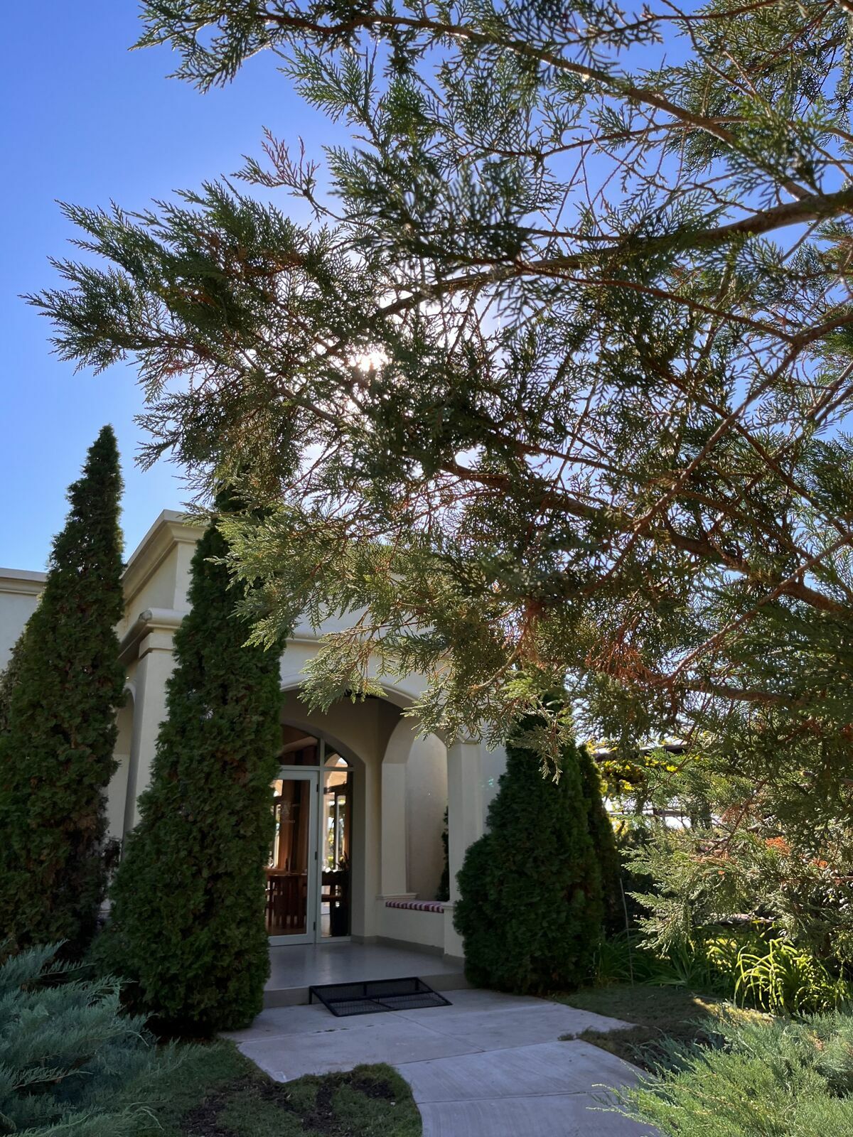 Foto Casamento Mariana e Rafael - Mendoza Argentina - Chegada e Visita técnica - Imagem 22