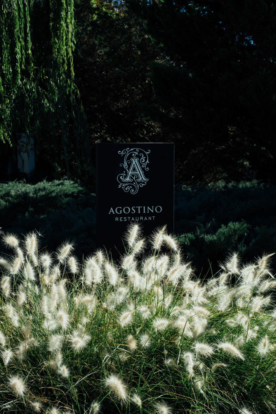 Foto Casamento Mariana e Rafael - Mendoza Argentina - Chegada e Visita técnica - Imagem 20