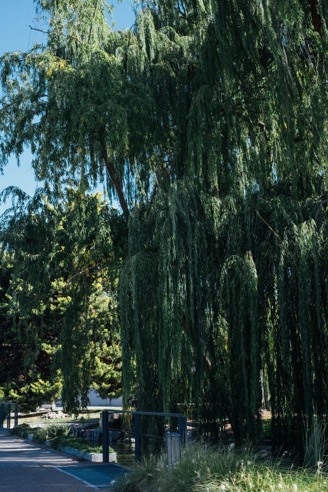 Foto Casamento Mariana e Rafael - Mendoza Argentina - Chegada e Visita técnica - Imagem 11