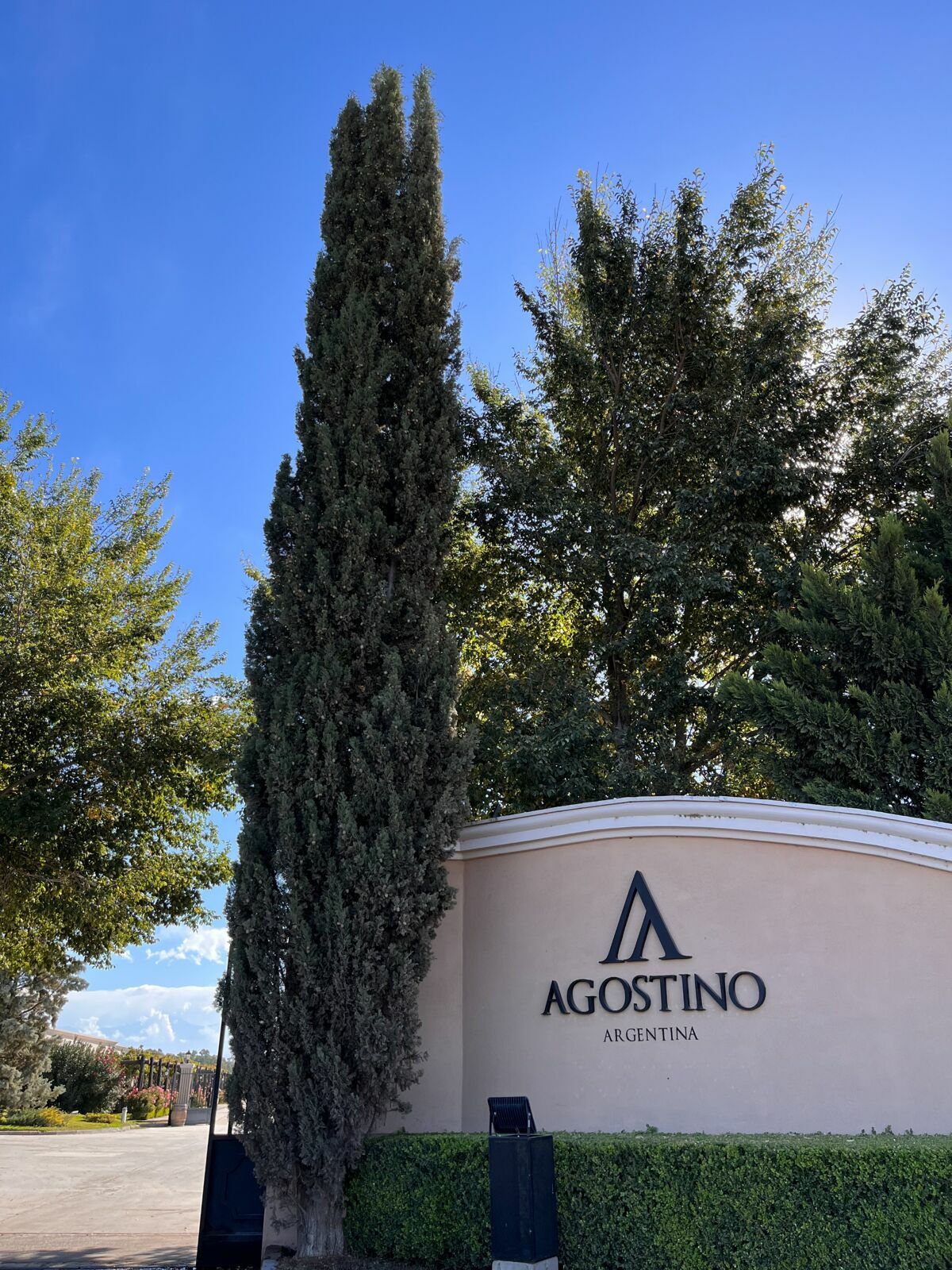 Foto Casamento Mariana e Rafael - Mendoza Argentina - Chegada e Visita técnica - Imagem 17