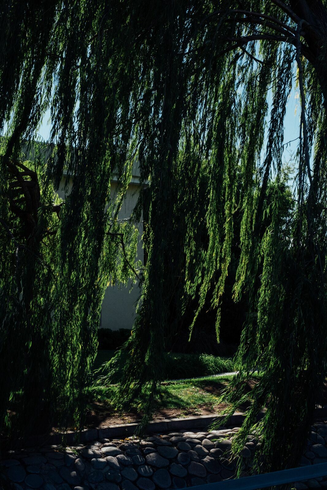 Foto Casamento Mariana e Rafael - Mendoza Argentina - Chegada e Visita técnica - Imagem 16