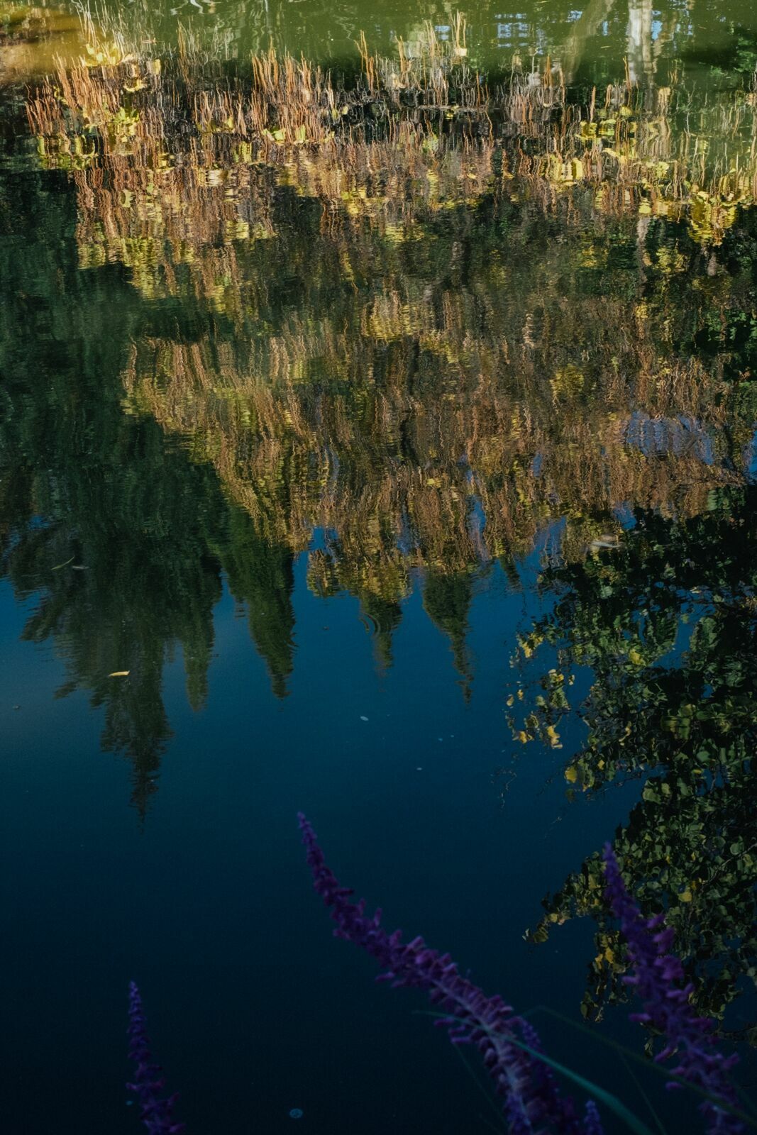 Foto Casamento Mariana e Rafael - Mendoza Argentina - Chegada e Visita técnica - Imagem 13