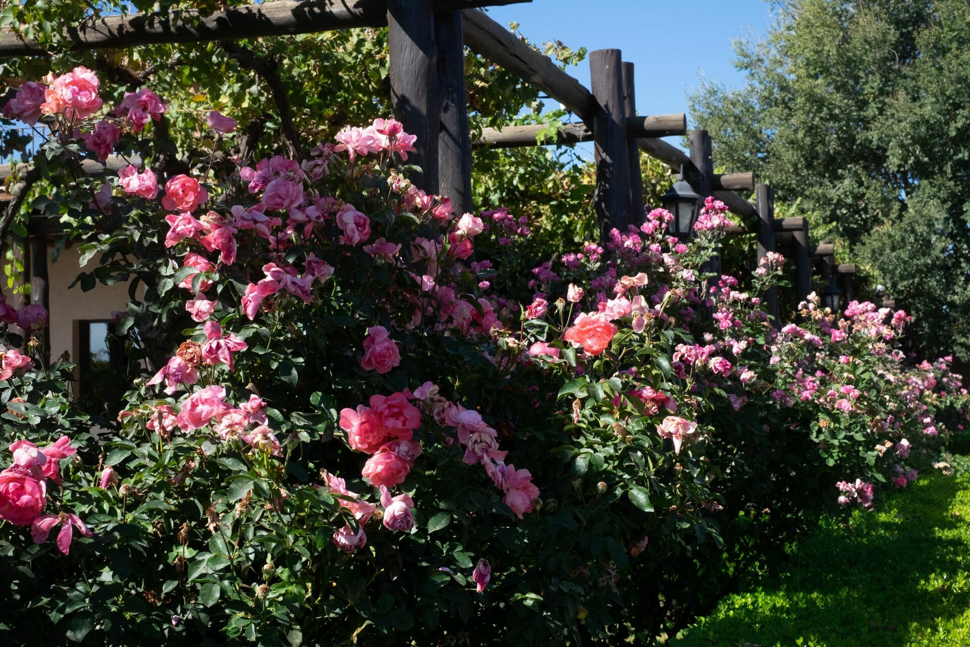 Foto Casamento Mariana e Rafael - Mendoza Argentina - Chegada e Visita técnica - Imagem 4