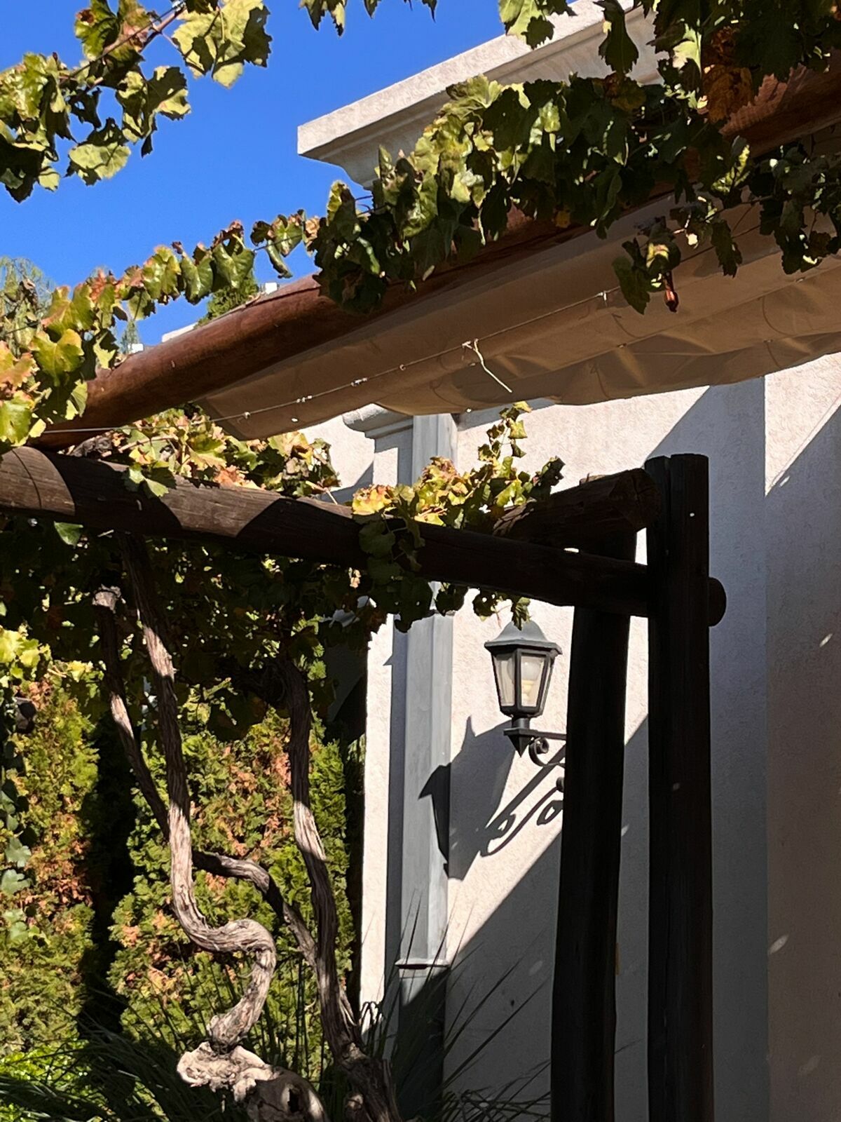 Foto Casamento Mariana e Rafael - Mendoza Argentina - Chegada e Visita técnica - Imagem 24