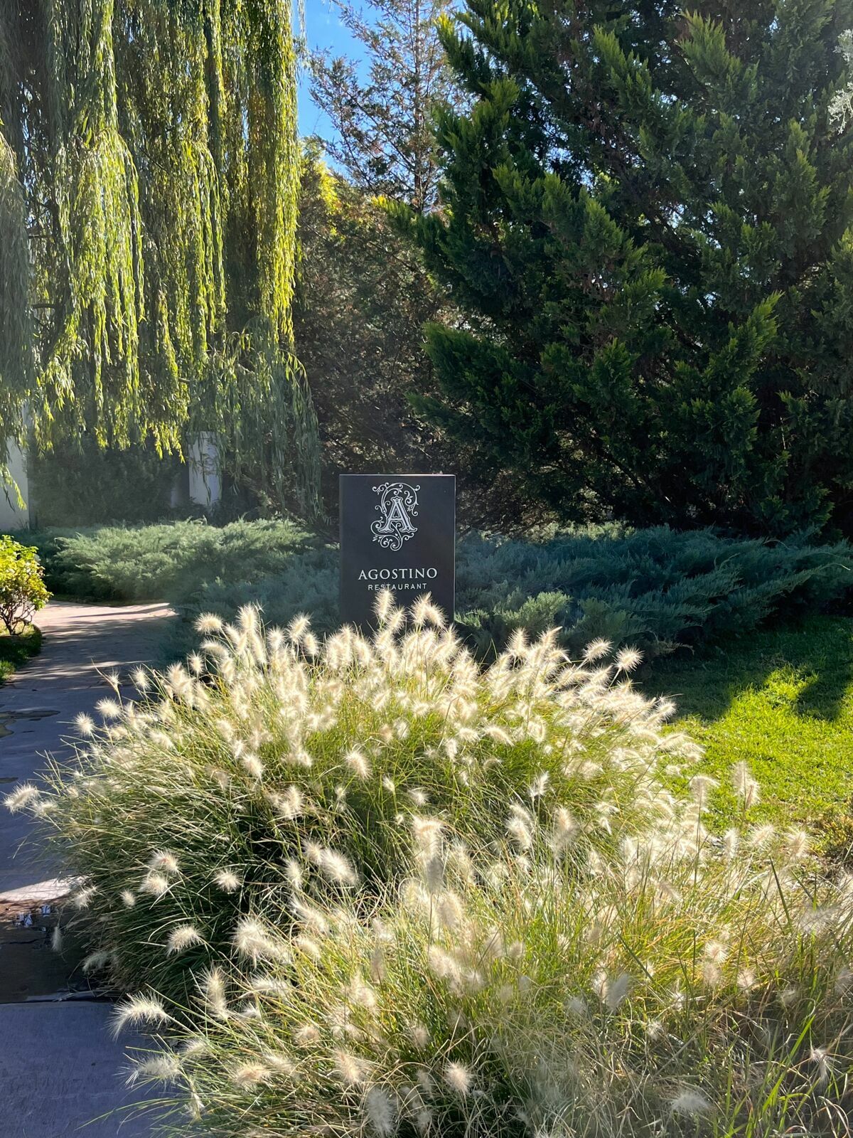 Foto Casamento Mariana e Rafael - Mendoza Argentina - Chegada e Visita técnica - Imagem 23