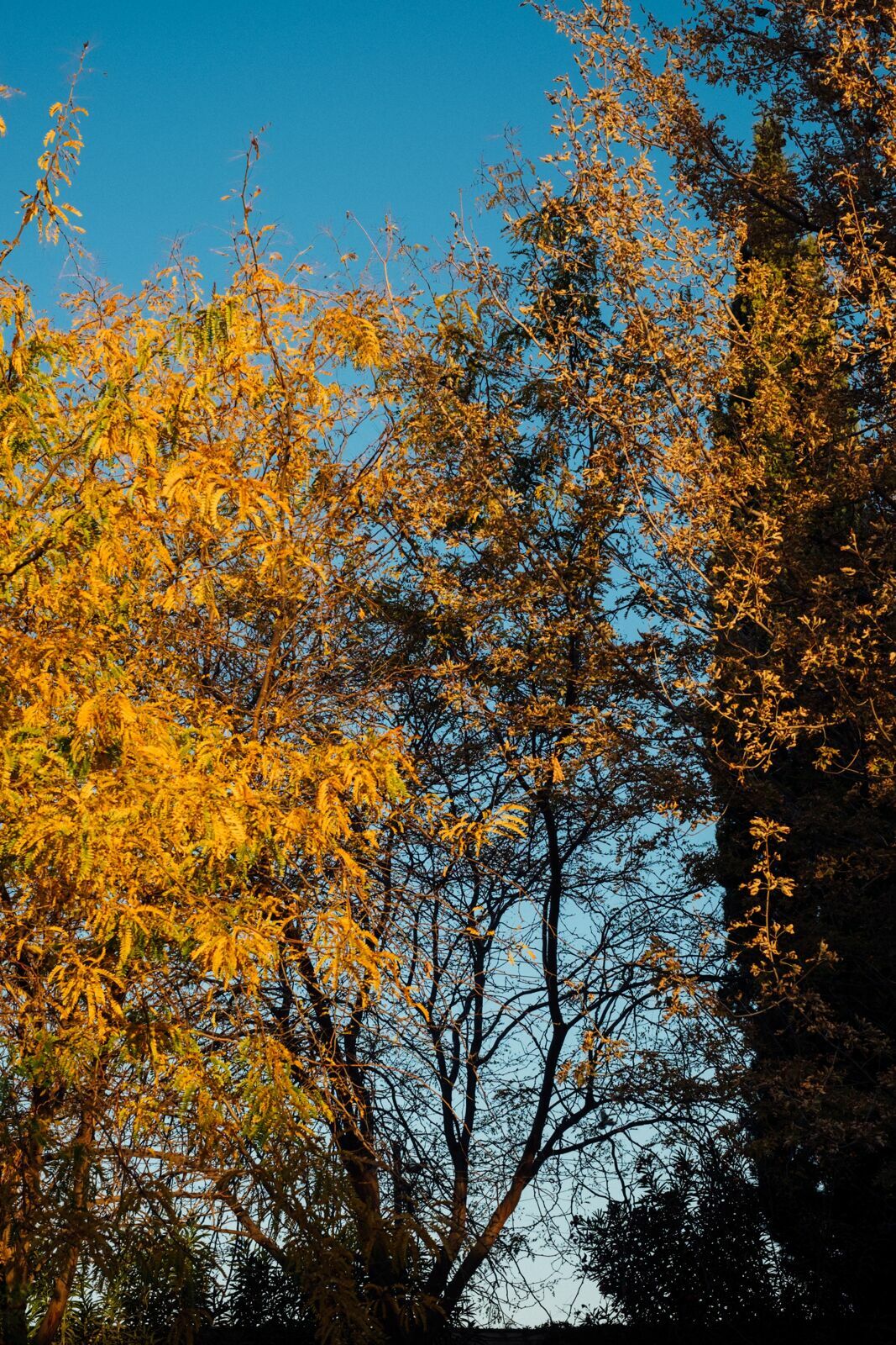 Foto Casamento Mariana e Rafael - Mendoza Argentina - Chegada e Visita técnica - Imagem 53