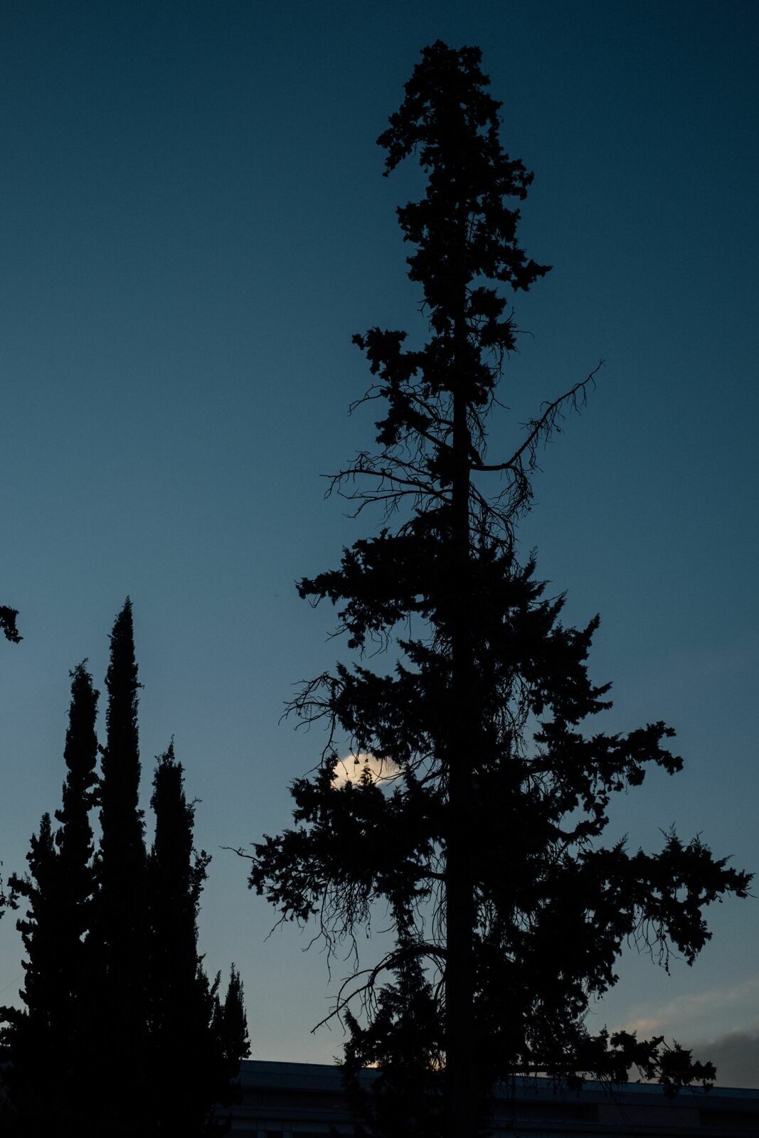 Foto Casamento Mariana e Rafael - Mendoza Argentina - Chegada e Visita técnica - Imagem 54