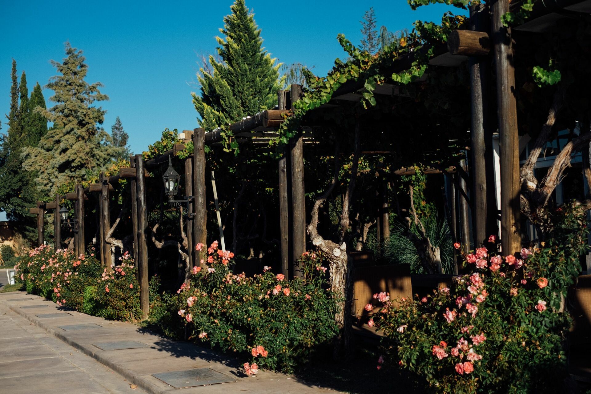Foto Casamento Mariana e Rafael - Mendoza Argentina - Chegada e Visita técnica - Imagem 39