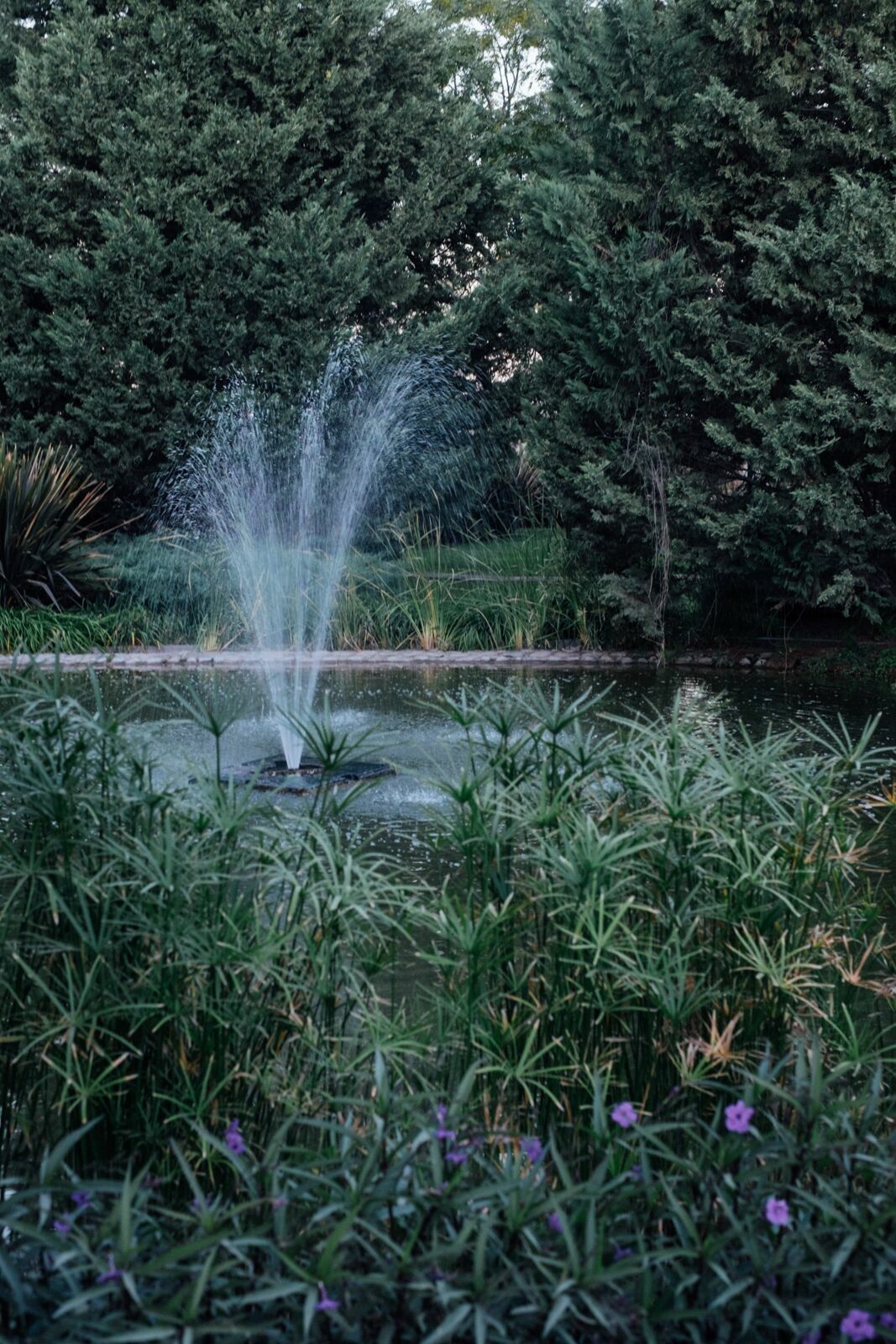 Foto Casamento Mariana e Rafael - Mendoza Argentina - Chegada e Visita técnica - Imagem 56