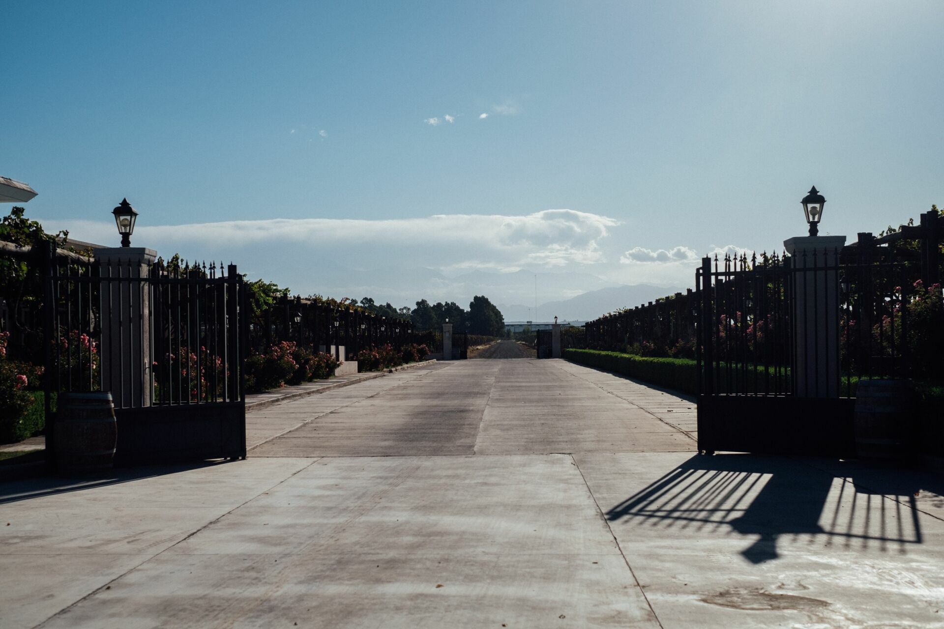 Foto Casamento Mariana e Rafael - Mendoza Argentina - Chegada e Visita técnica - Imagem 36
