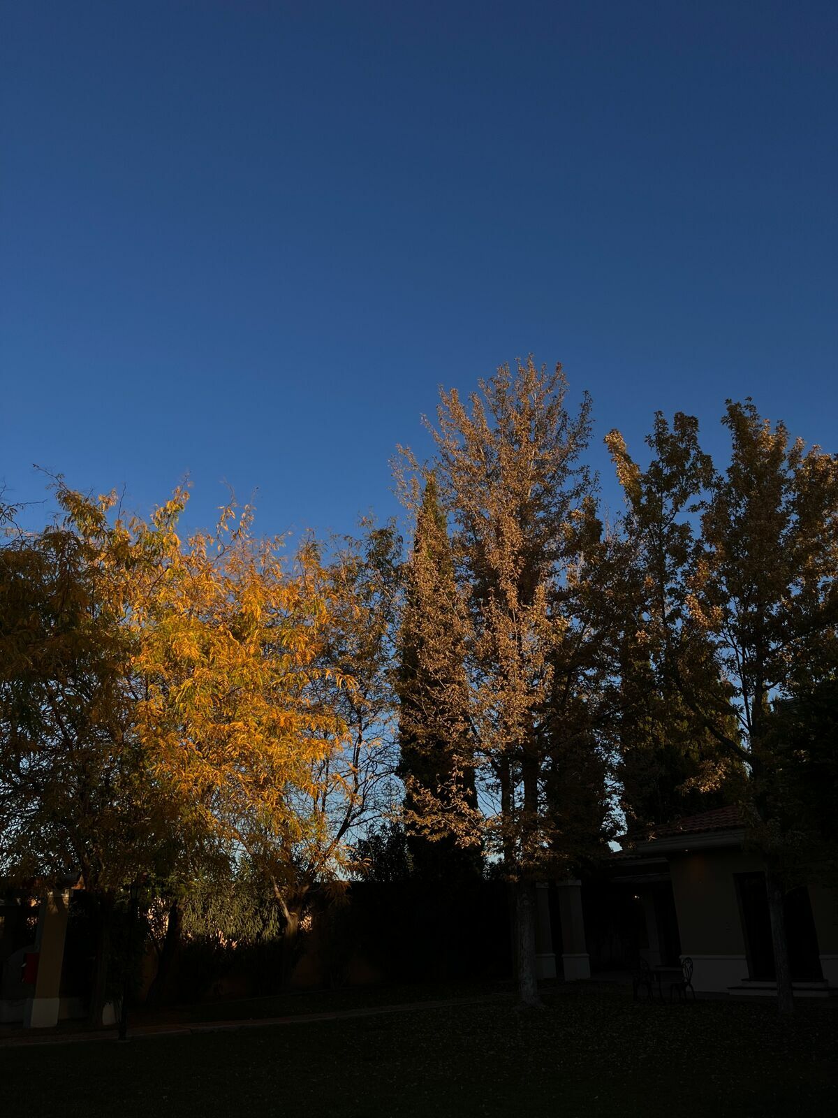 Foto Casamento Mariana e Rafael - Mendoza Argentina - Chegada e Visita técnica - Imagem 46
