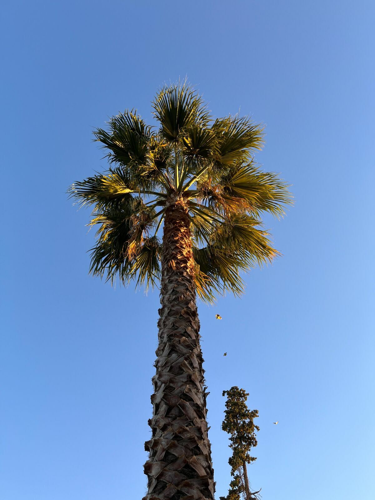 Foto Casamento Mariana e Rafael - Mendoza Argentina - Chegada e Visita técnica - Imagem 52