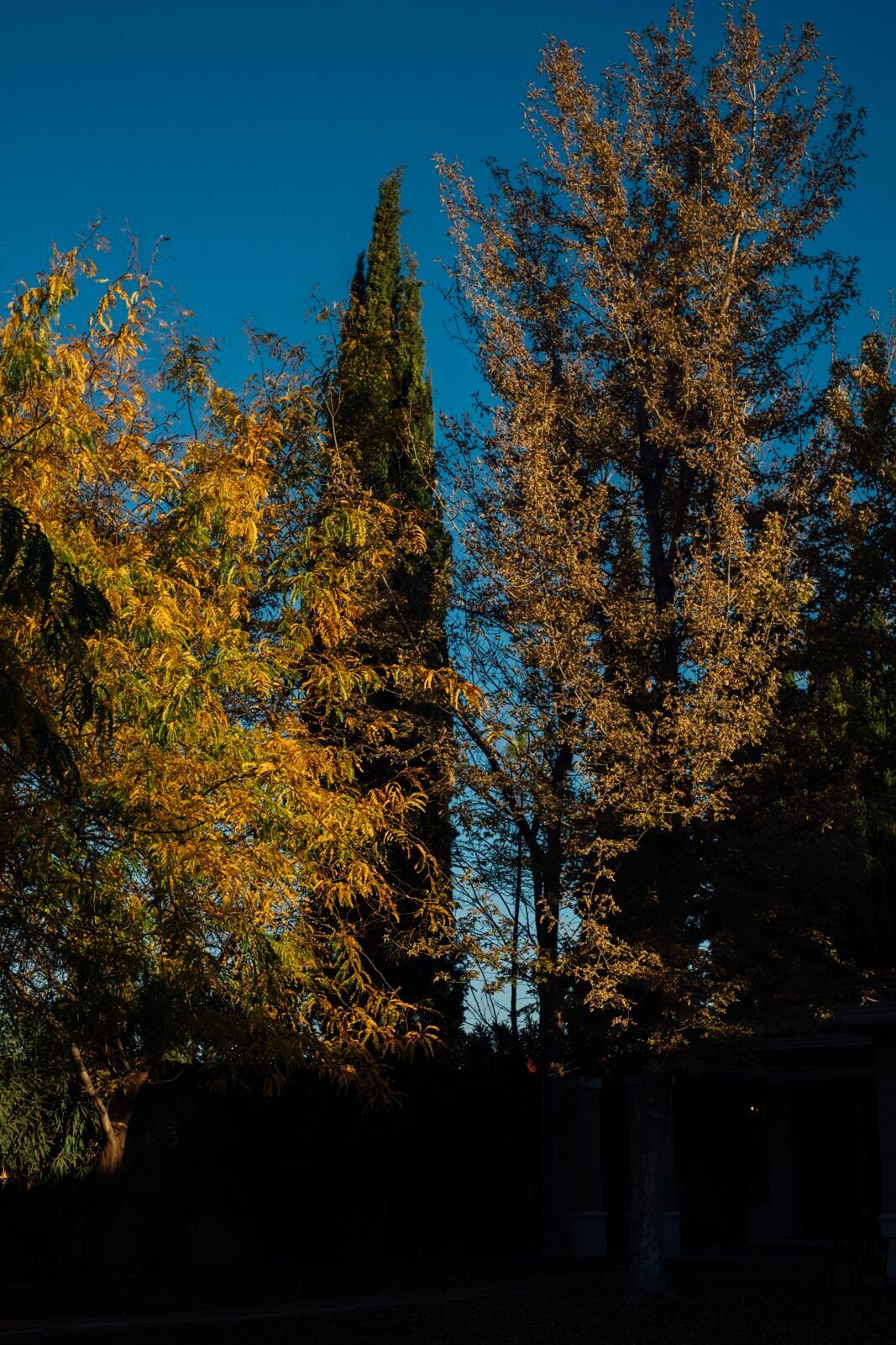 Foto Casamento Mariana e Rafael - Mendoza Argentina - Chegada e Visita técnica - Imagem 45