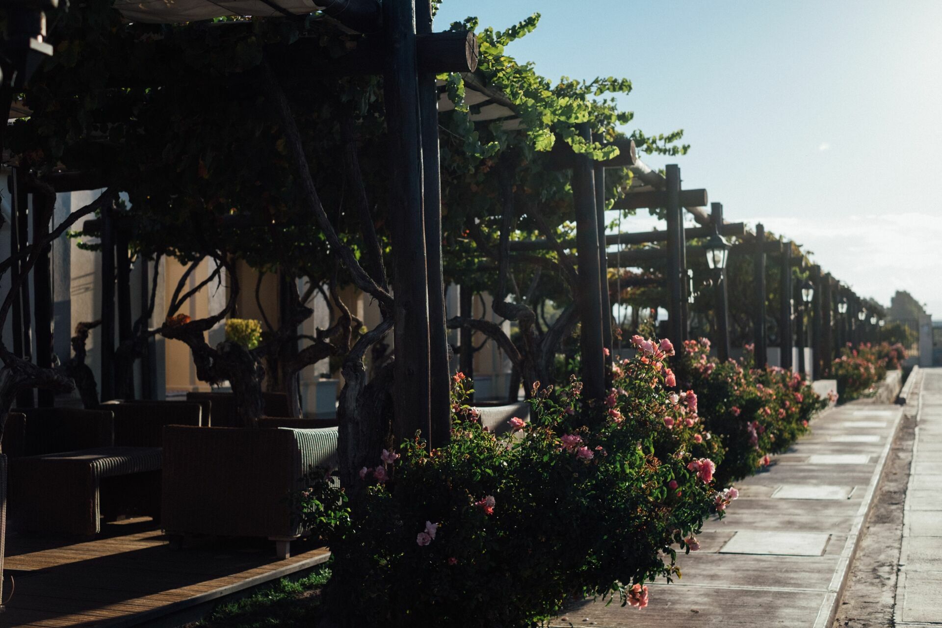 Foto Casamento Mariana e Rafael - Mendoza Argentina - Chegada e Visita técnica - Imagem 38