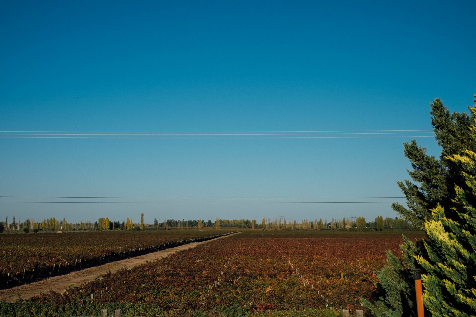 Foto Casamento Mariana e Rafael - Mendoza Argentina - Chegada e Visita técnica - Imagem 41
