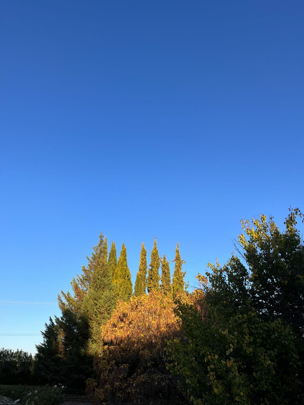 Foto Casamento Mariana e Rafael - Mendoza Argentina - Chegada e Visita técnica - Imagem 44